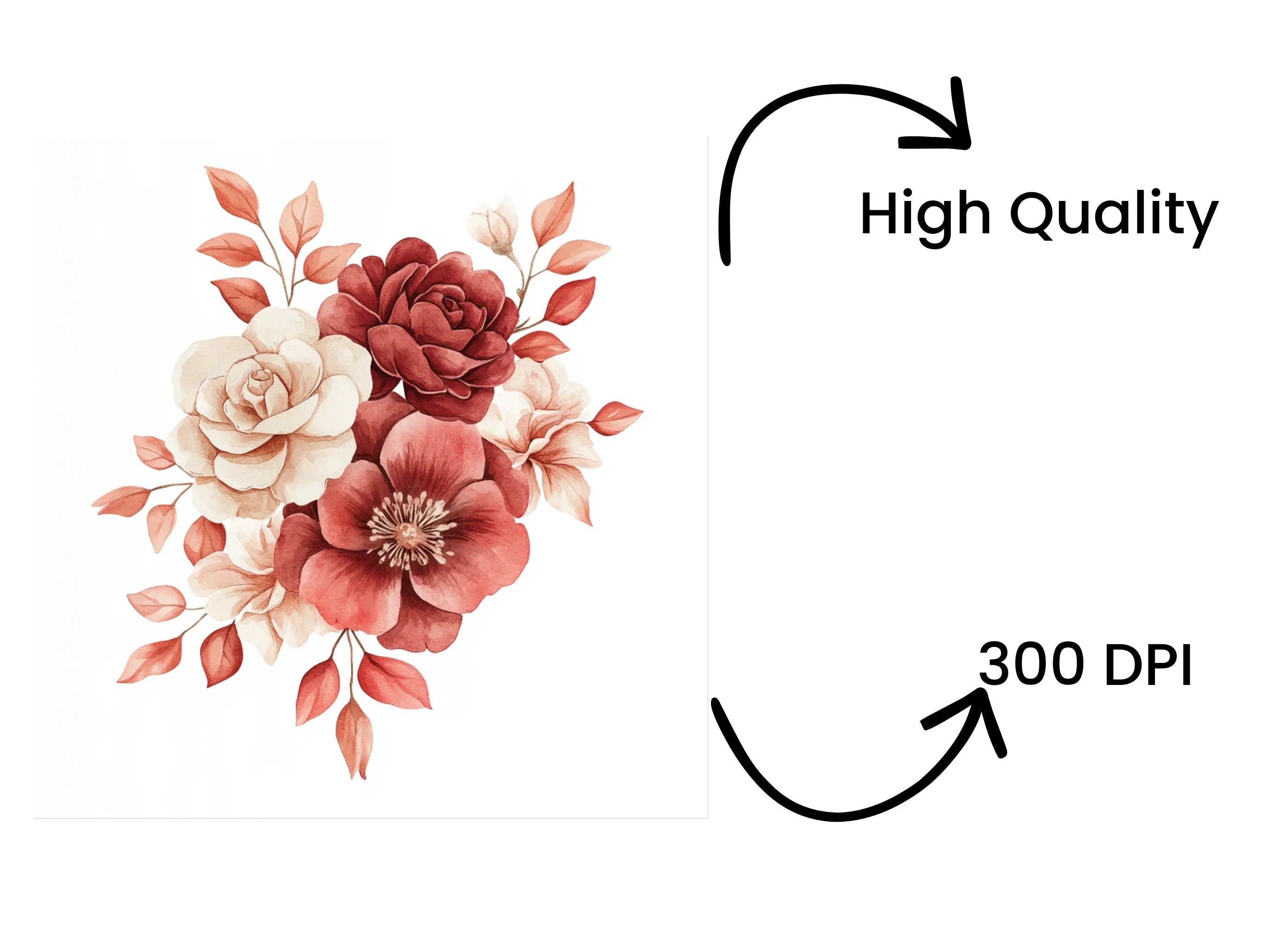 Floral Clipart Bundle