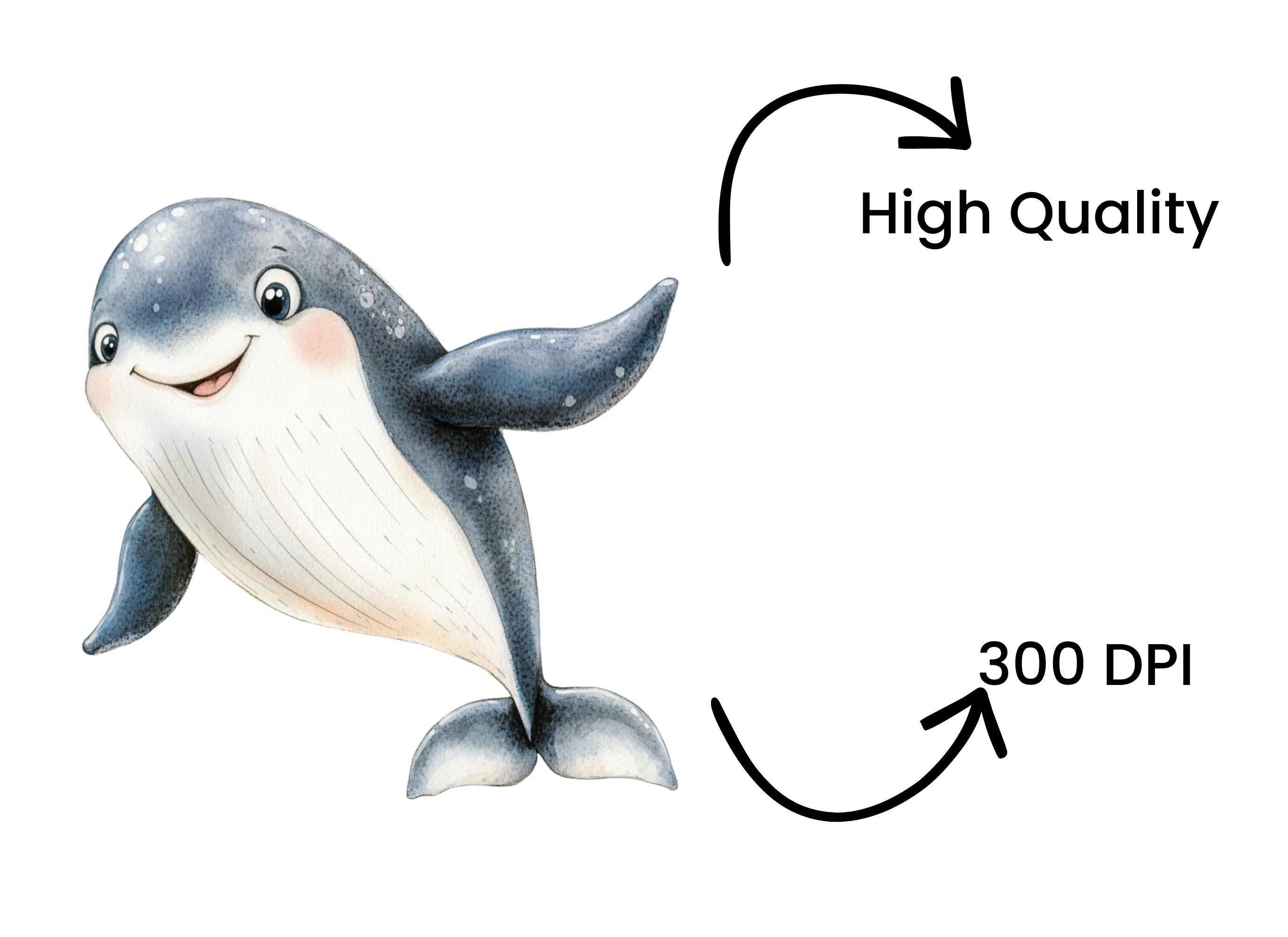 Cute Whale Duo Clipart Bundle