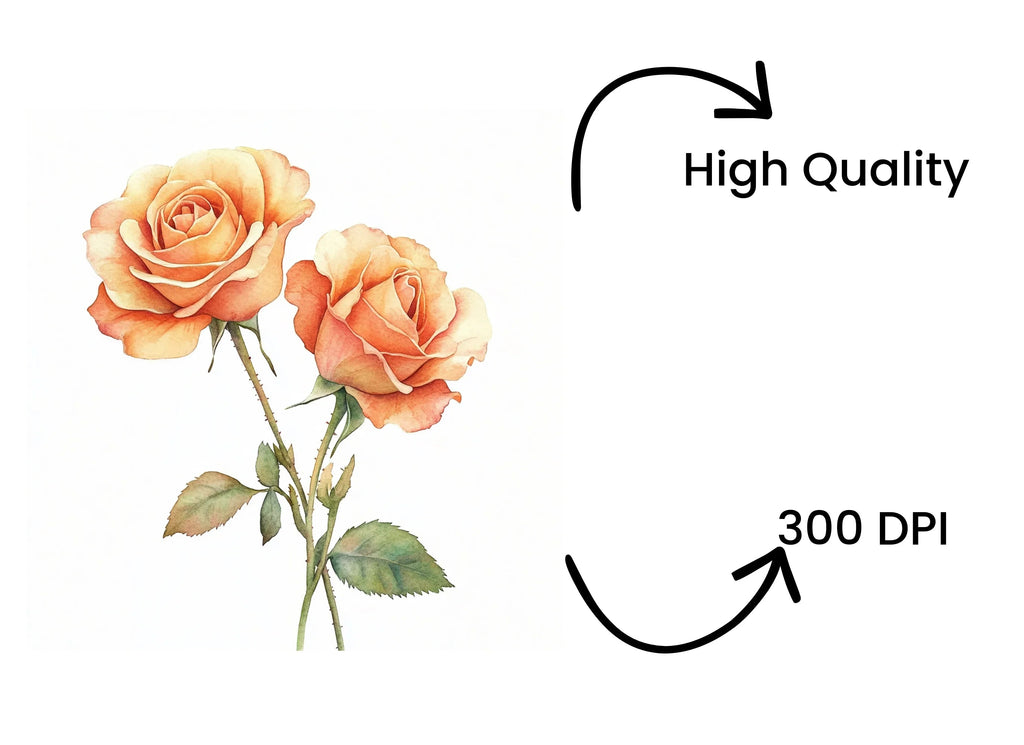 Elegant Peach Rose Clipart Bundle