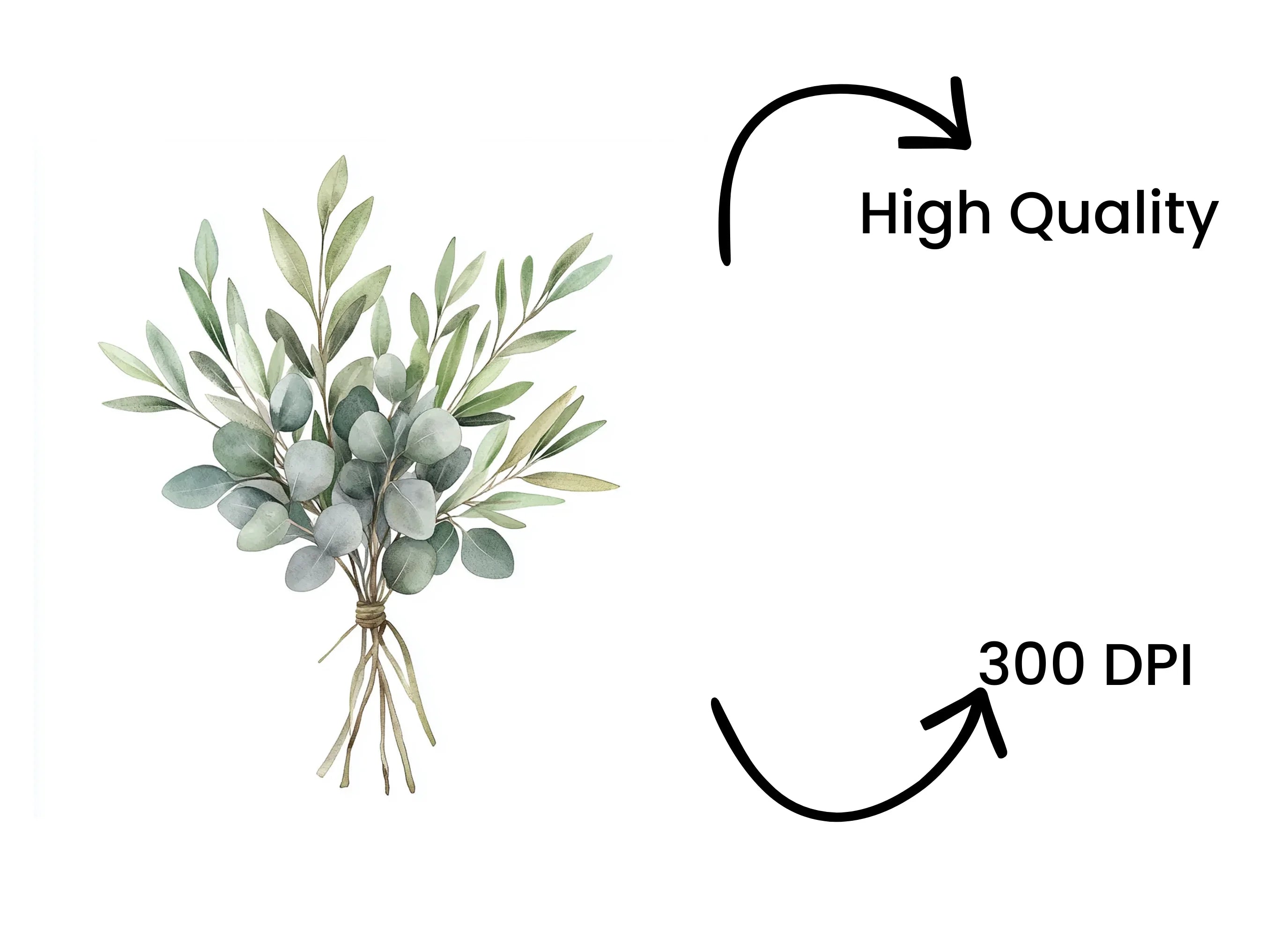 Eucalyptus Olive Bouquets Clipart Bundle