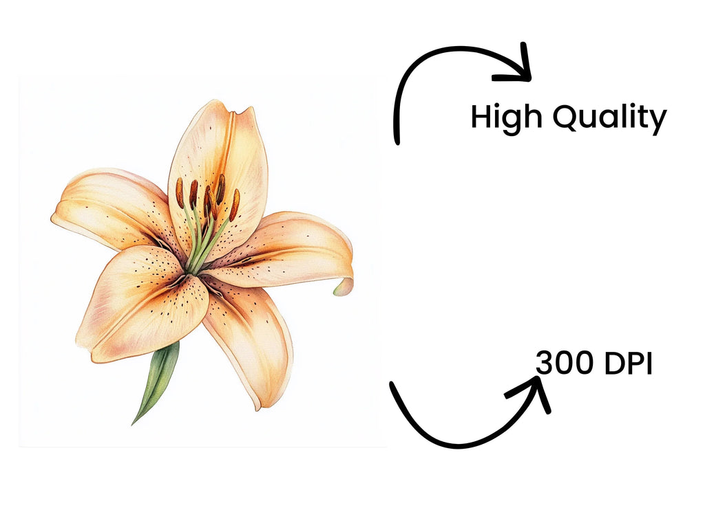 Elegant Lily Flower Clipart Bundle