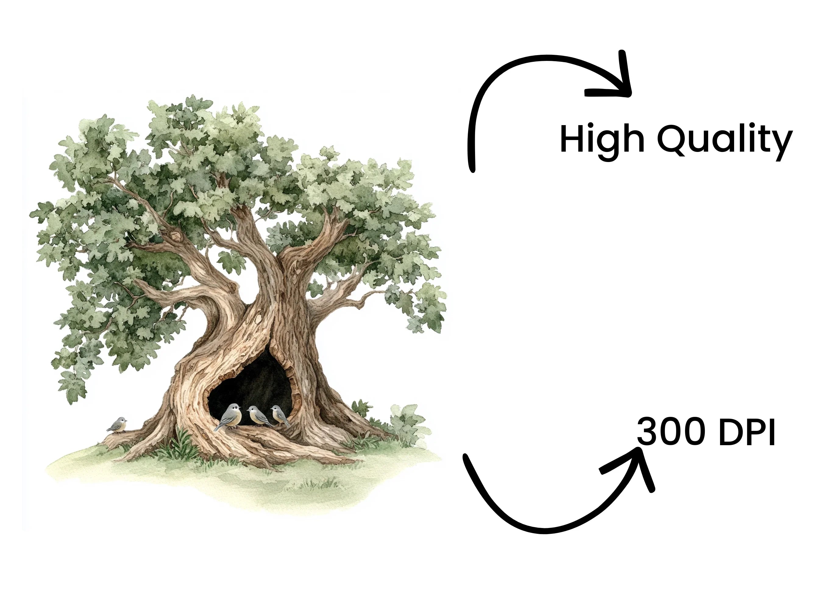 Hollow Tree with Birds Clipart Bundle