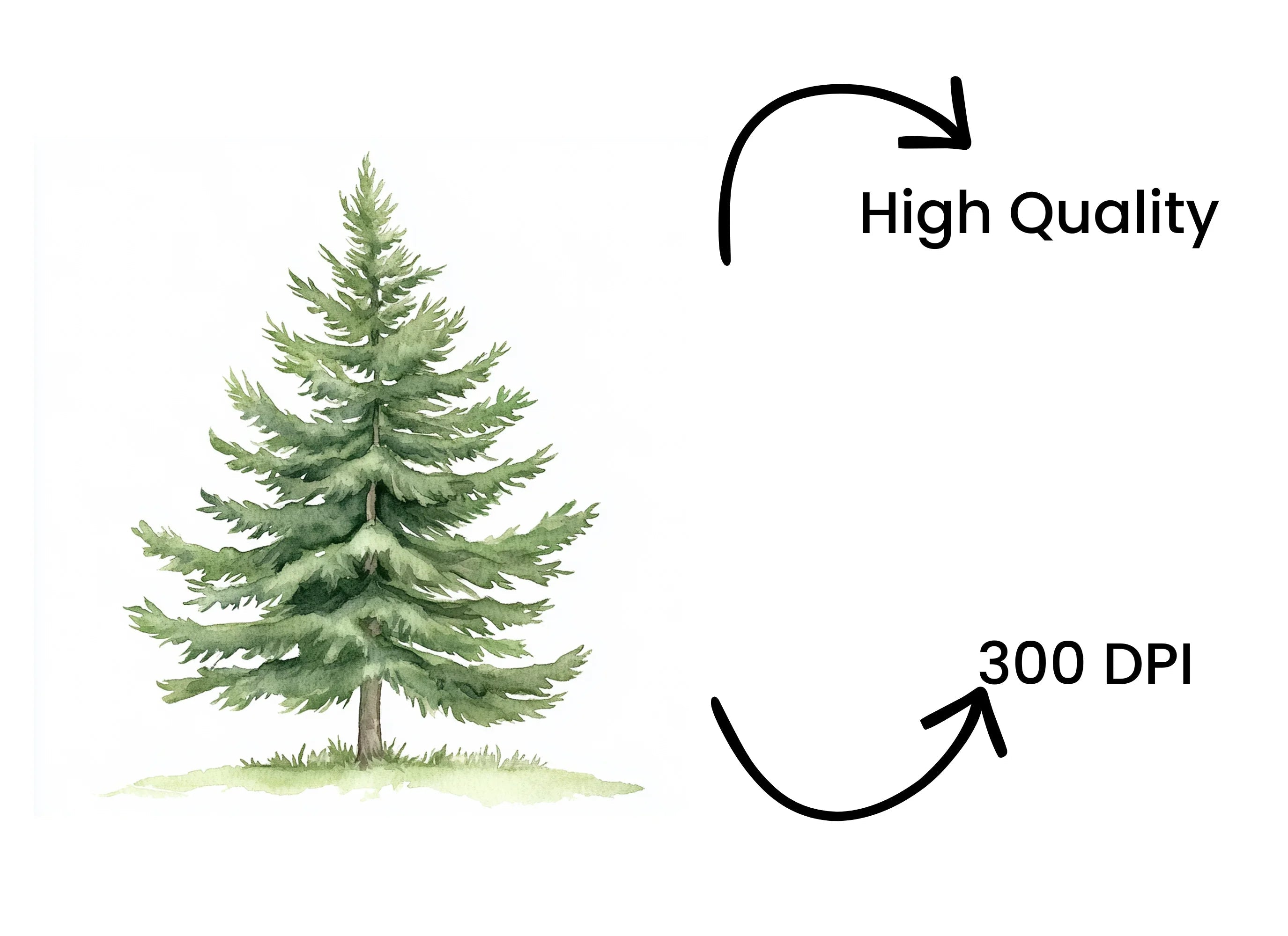Pine Tree Clipart Bundle