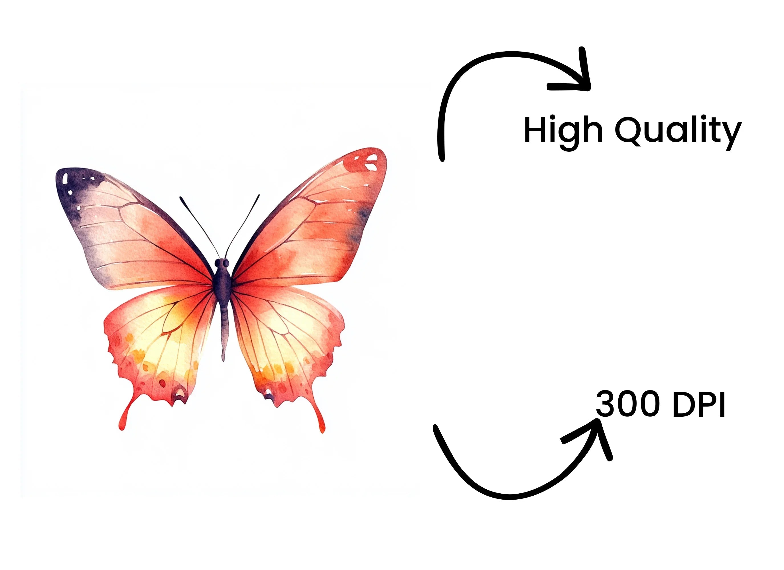 Vibrant Butterfly Clipart Bundle