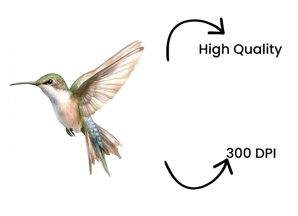 Hummingbird Clipart Bundle