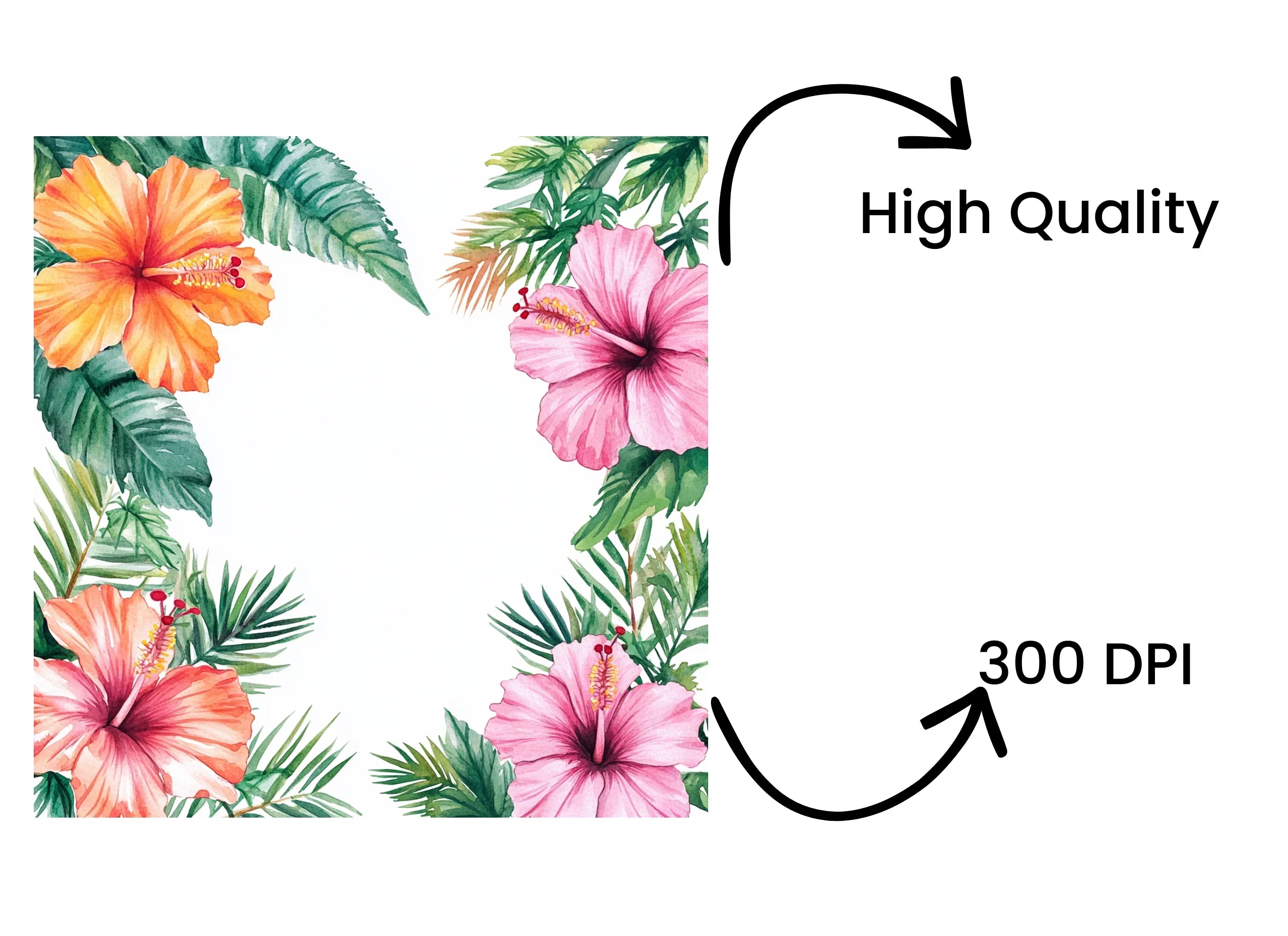 Tropical Hibiscus Frame Clipart Bundle
