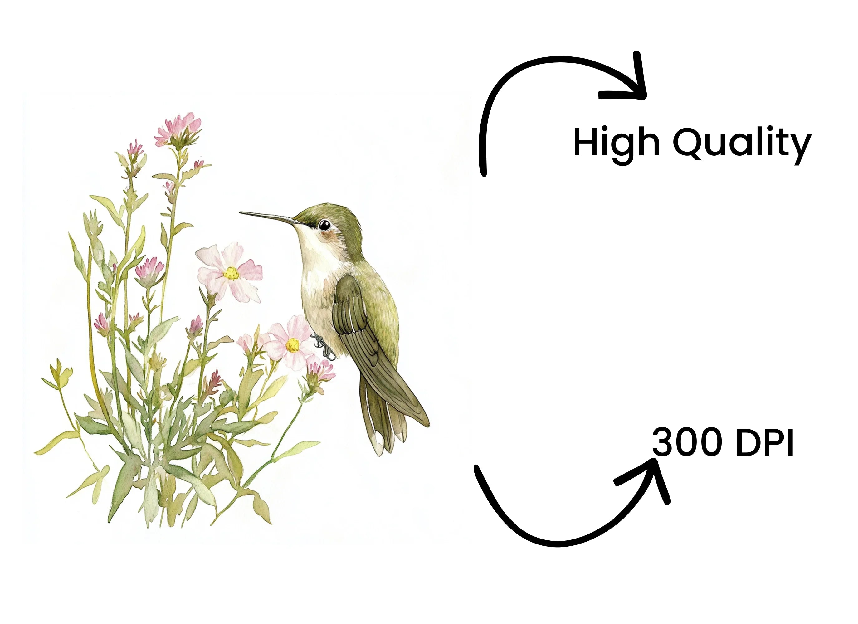 Hummingbird and Pink Flowers Clipart Bundle