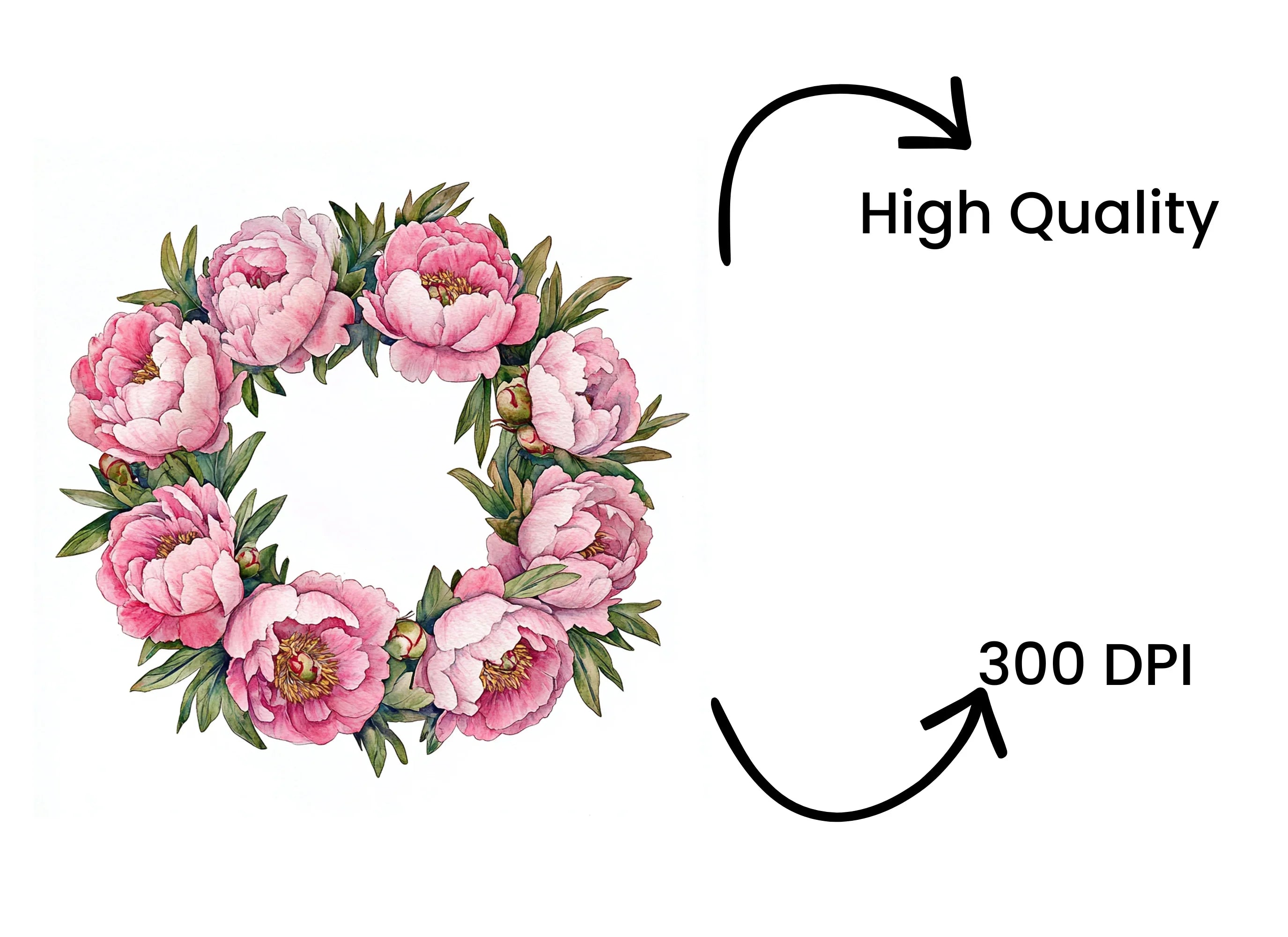 Pink Peony Wreath Clipart Bundle
