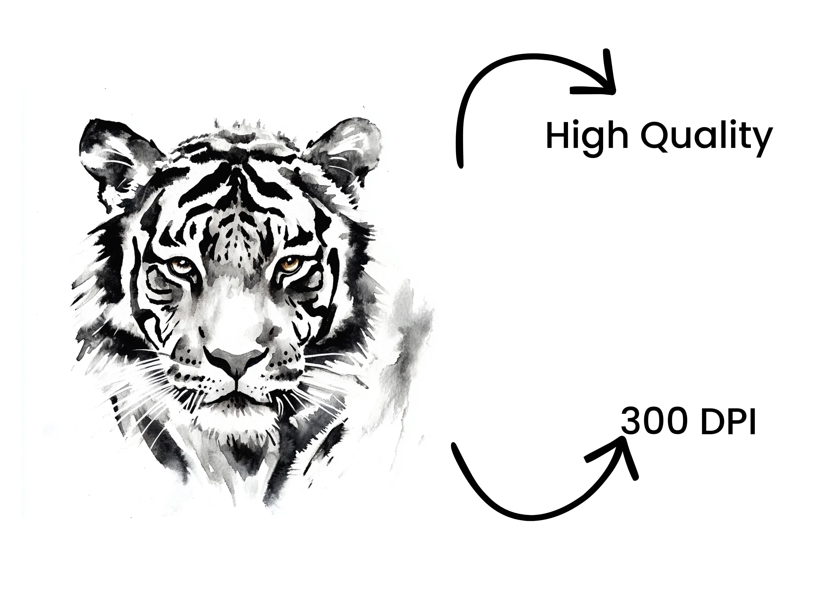 Majestic Tiger Head Black and White Clipart Bundle