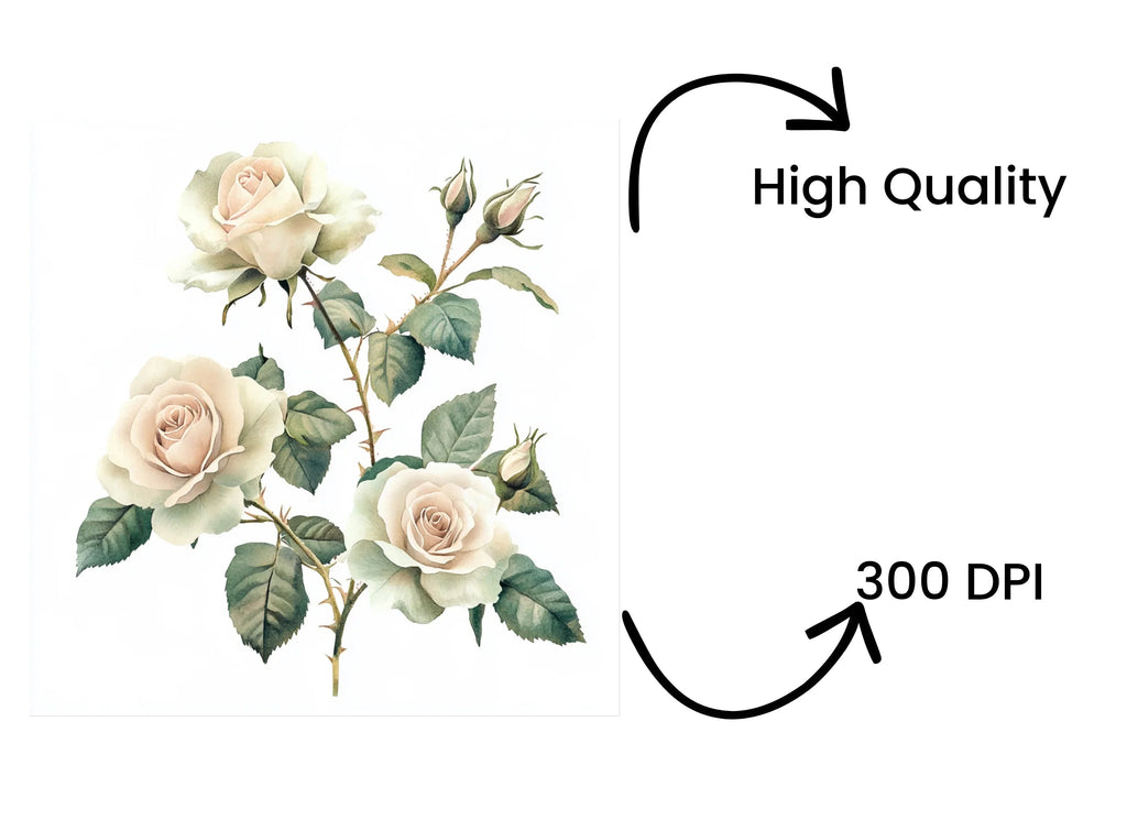 Elegant White Rose Clipart Bundle