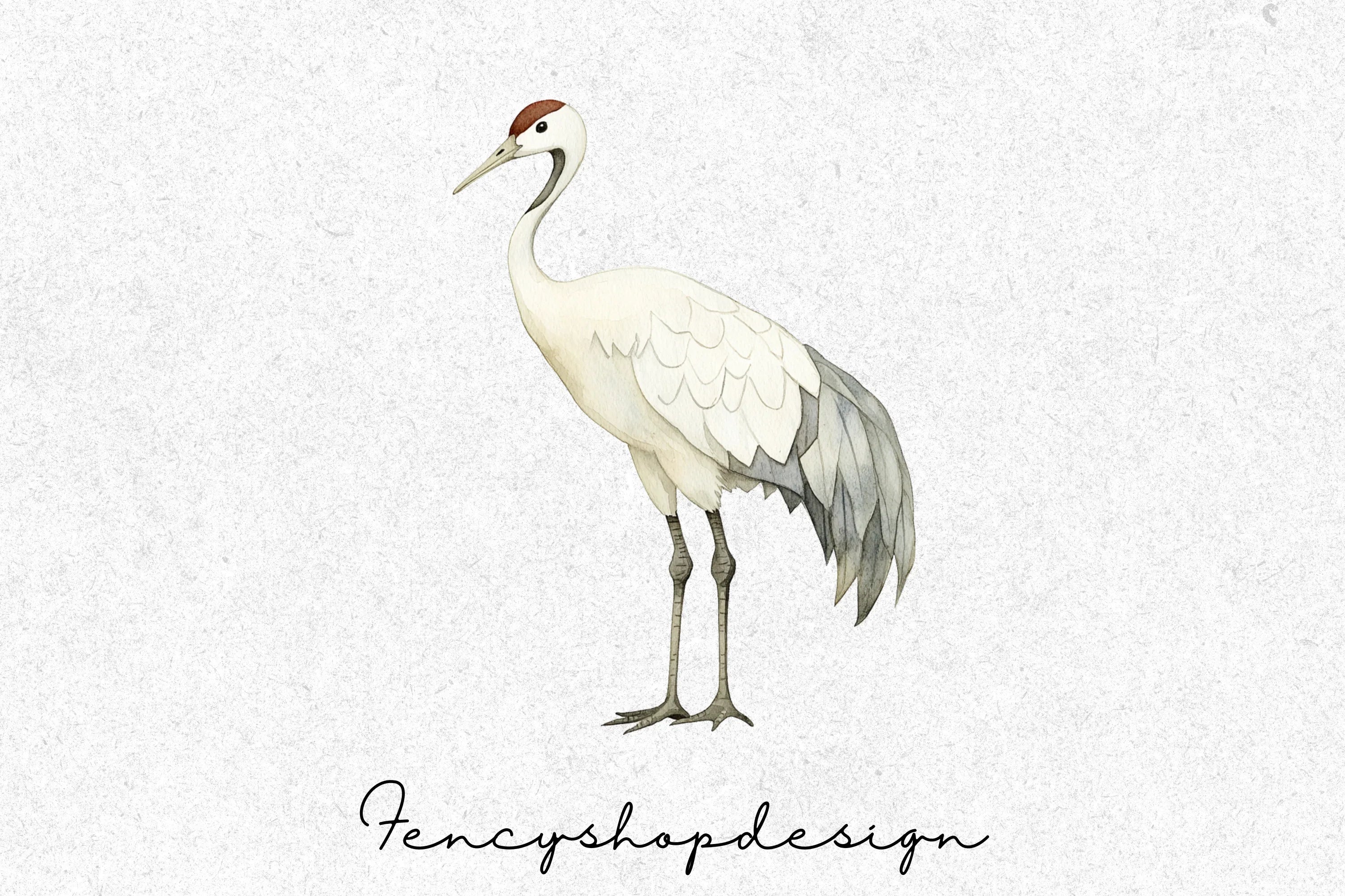Elegant White Crane Clipart Bundle