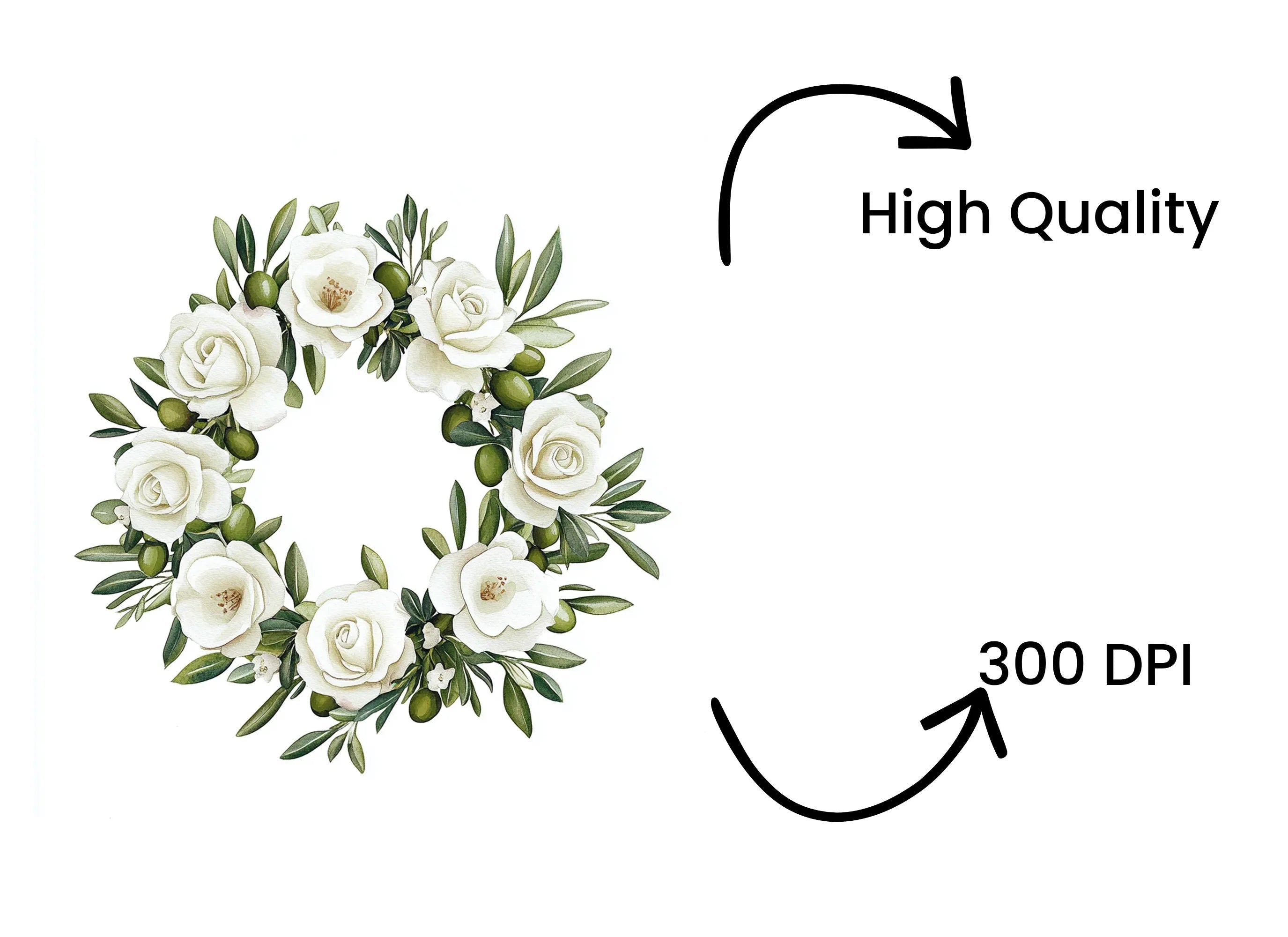 White Rose Olive Wreath Clipart Bundle