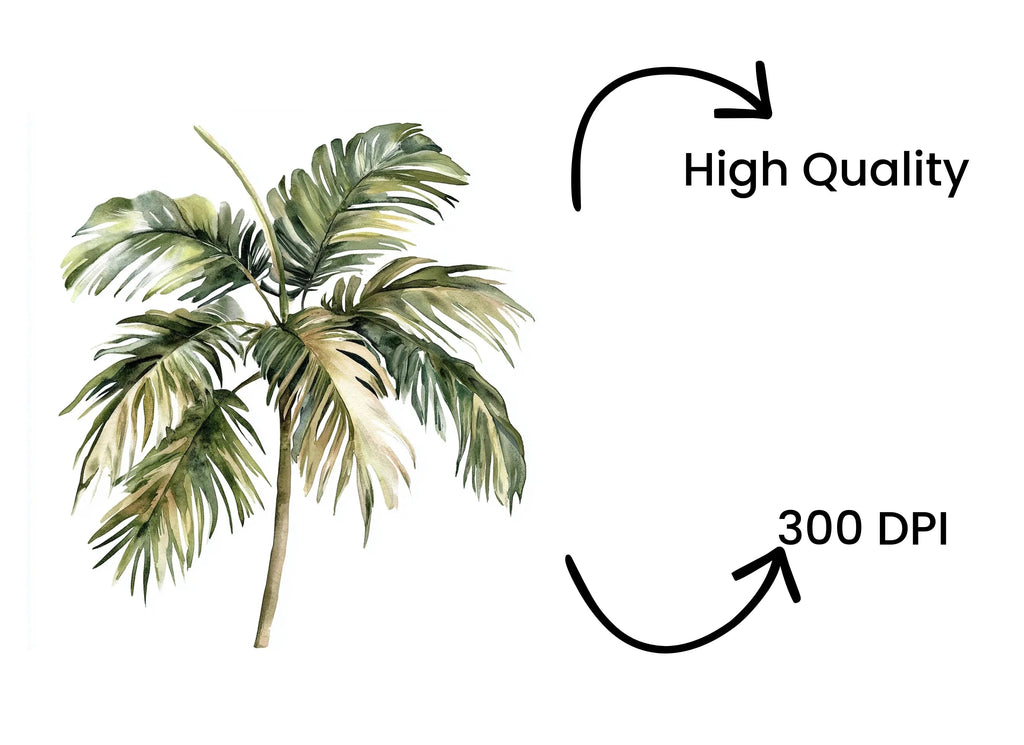 Dried Palm Leaves Clipart Bundle