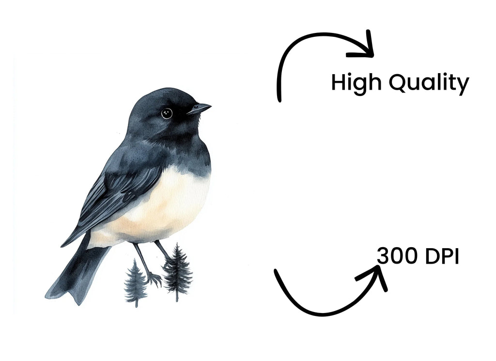 Forest Bird Clipart Bundle