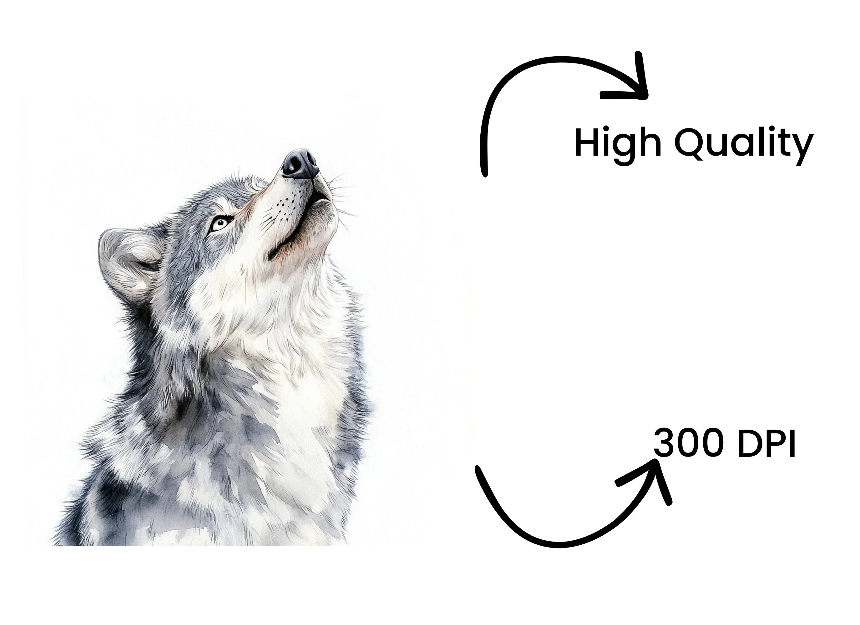 Howling Gray Wolf Clipart Bundle