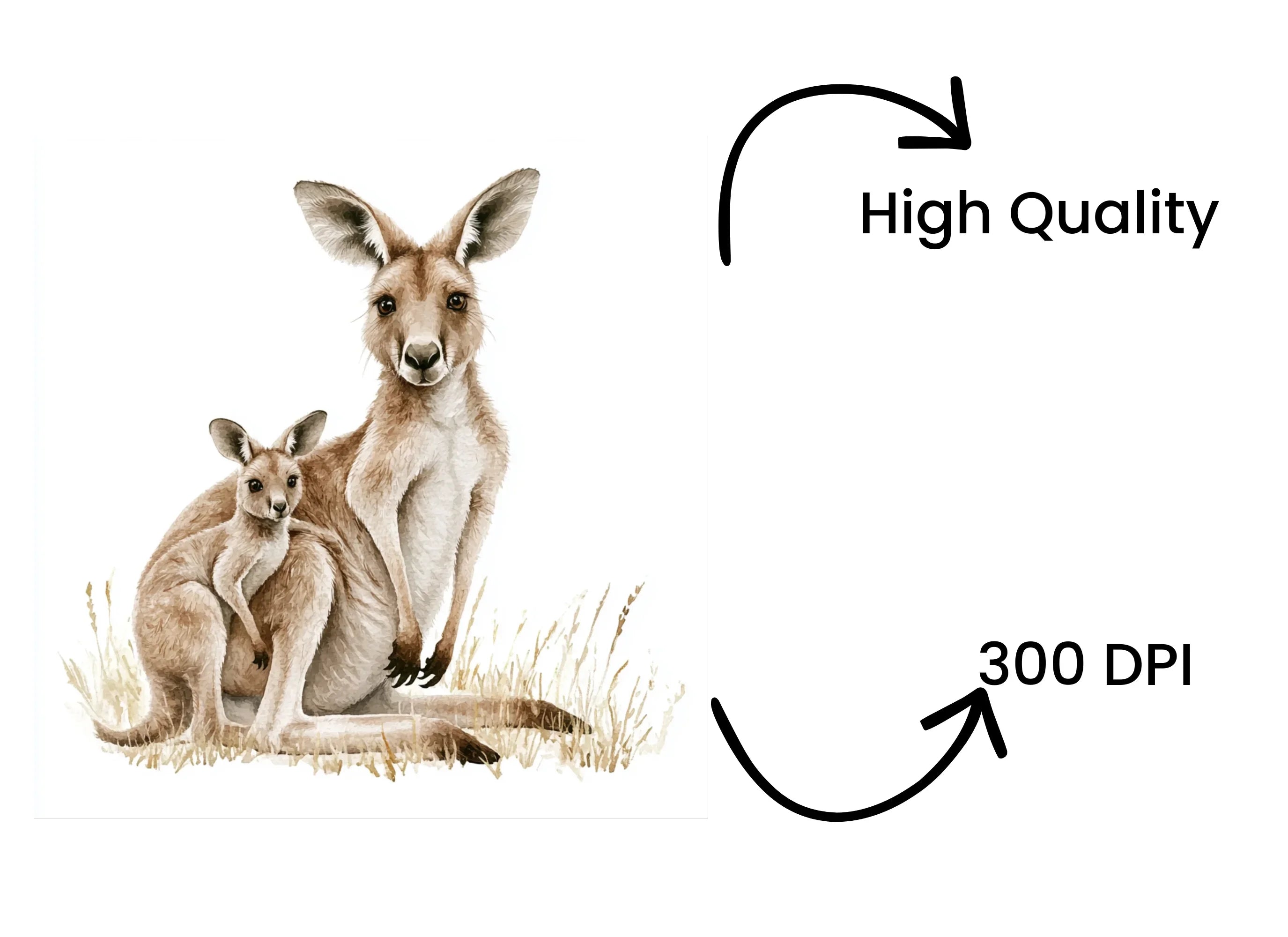 Kangaroo Family Illustration Clipart Bundle