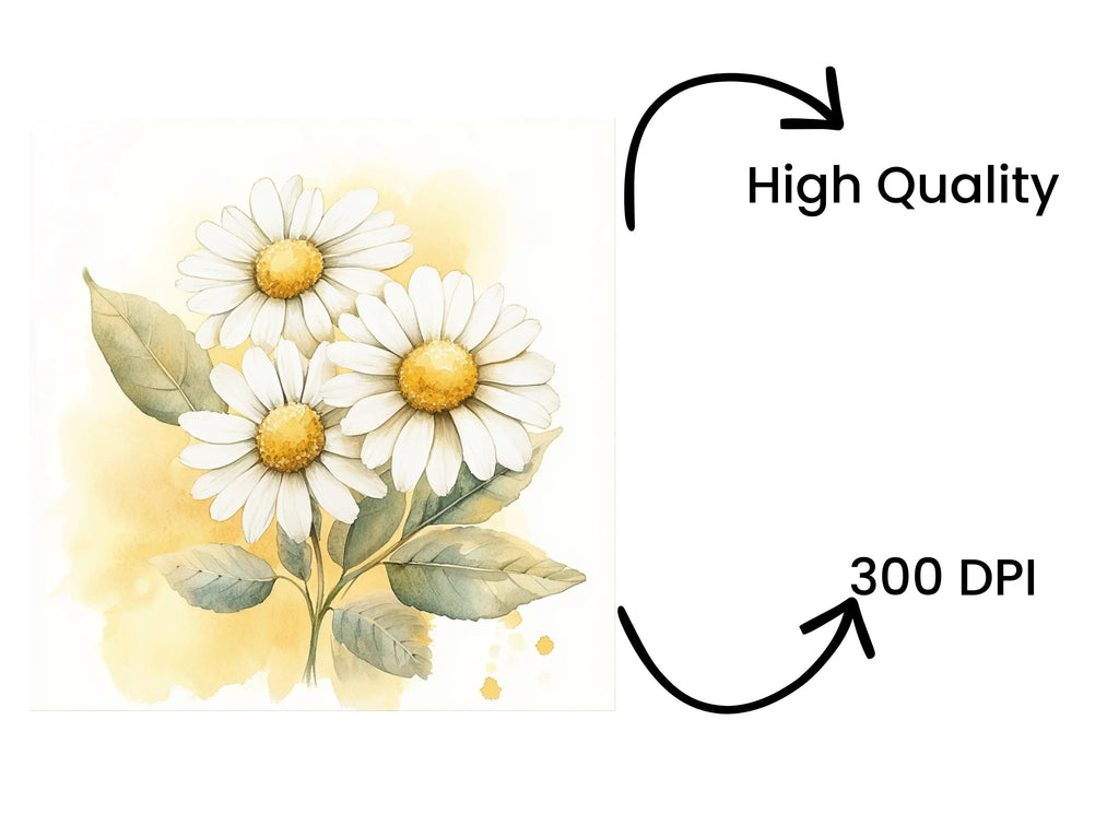 Daisy Clipart Bundle