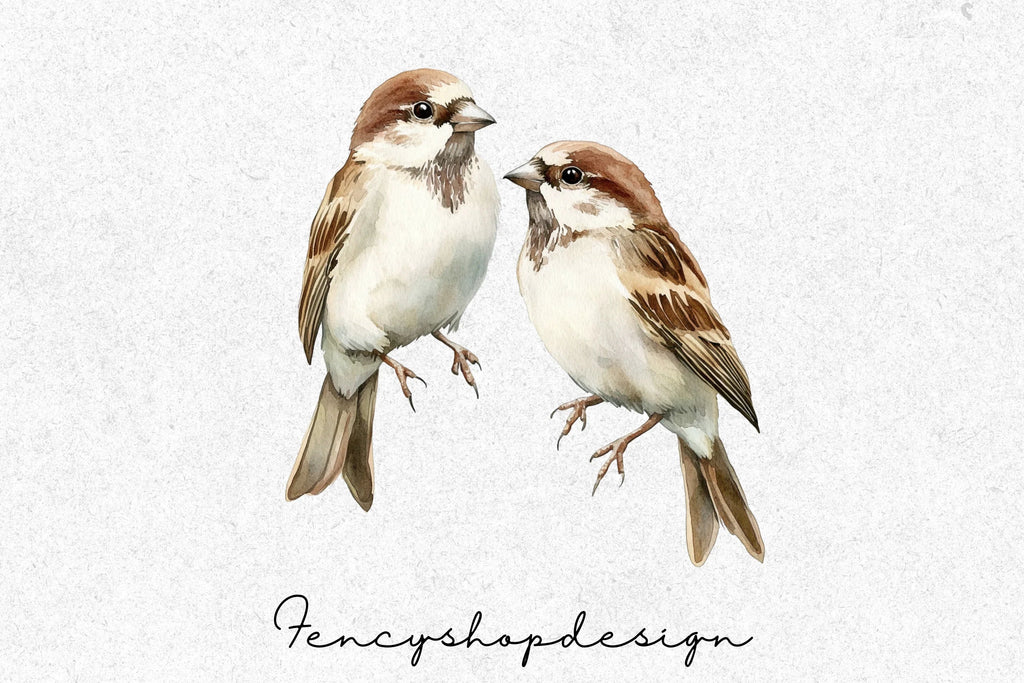 Charming Sparrow Illustrations Clipart Bundle
