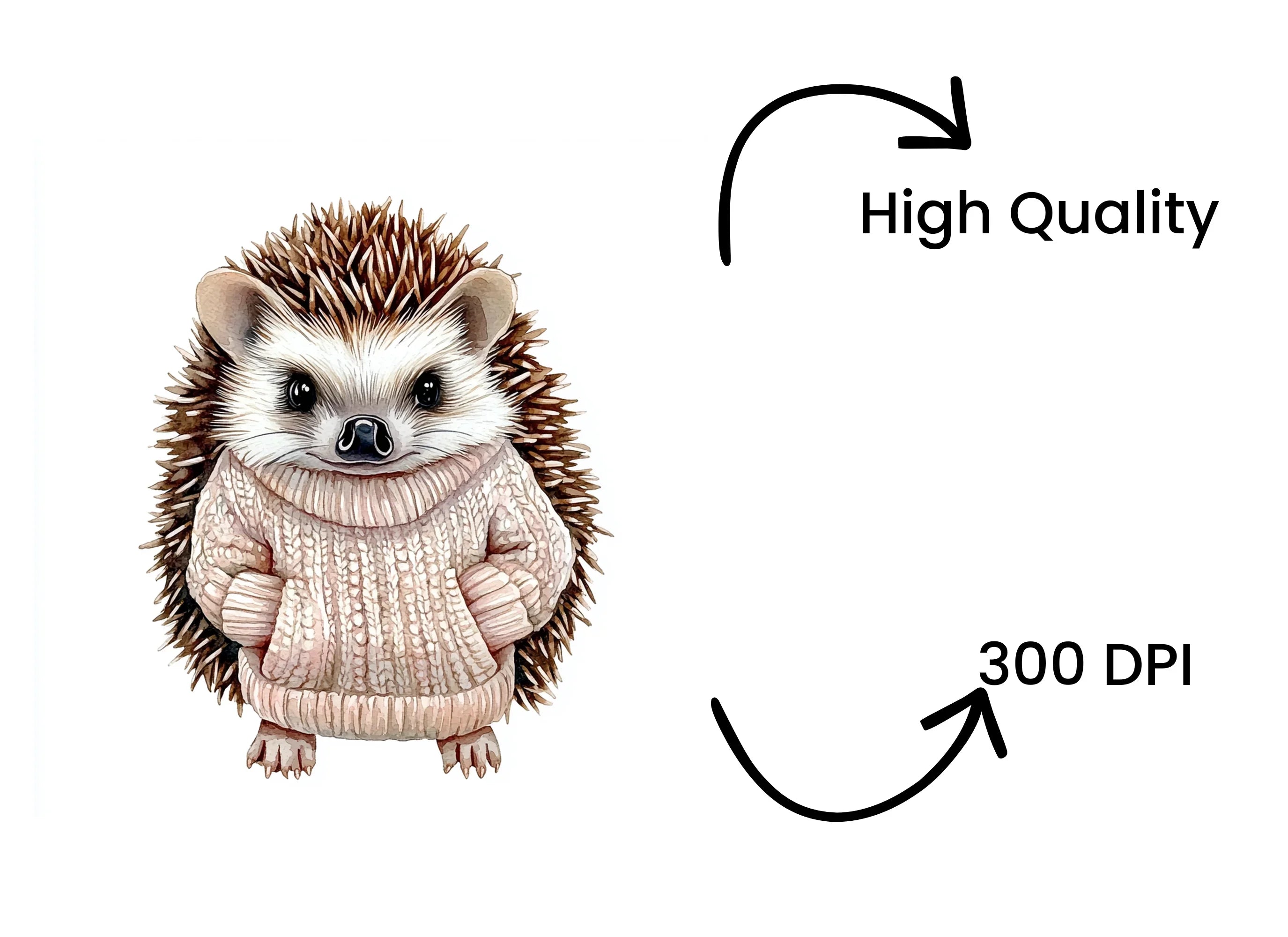 Adorable Hedgehog in Sweater Clipart Bundle