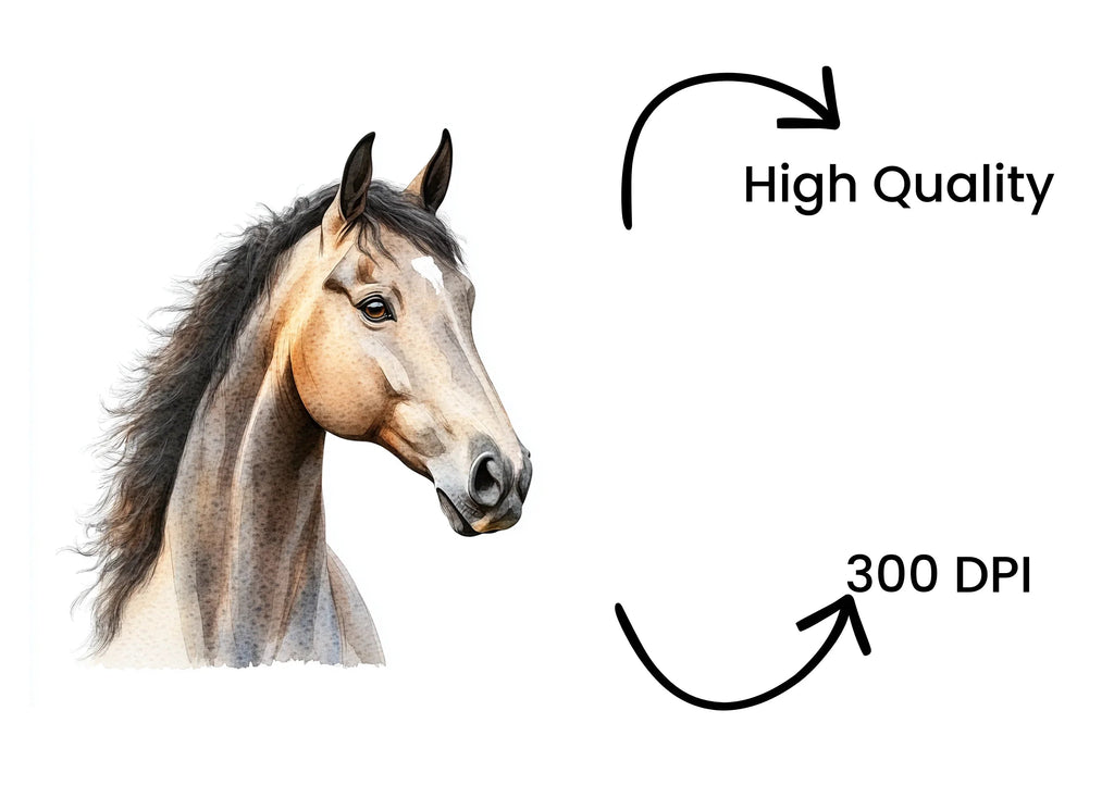 Beautiful Horse Head Clipart Bundle