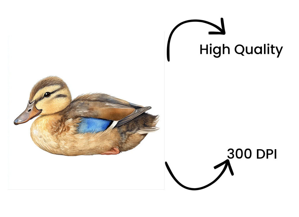 Adorable Duckling Clipart Bundle