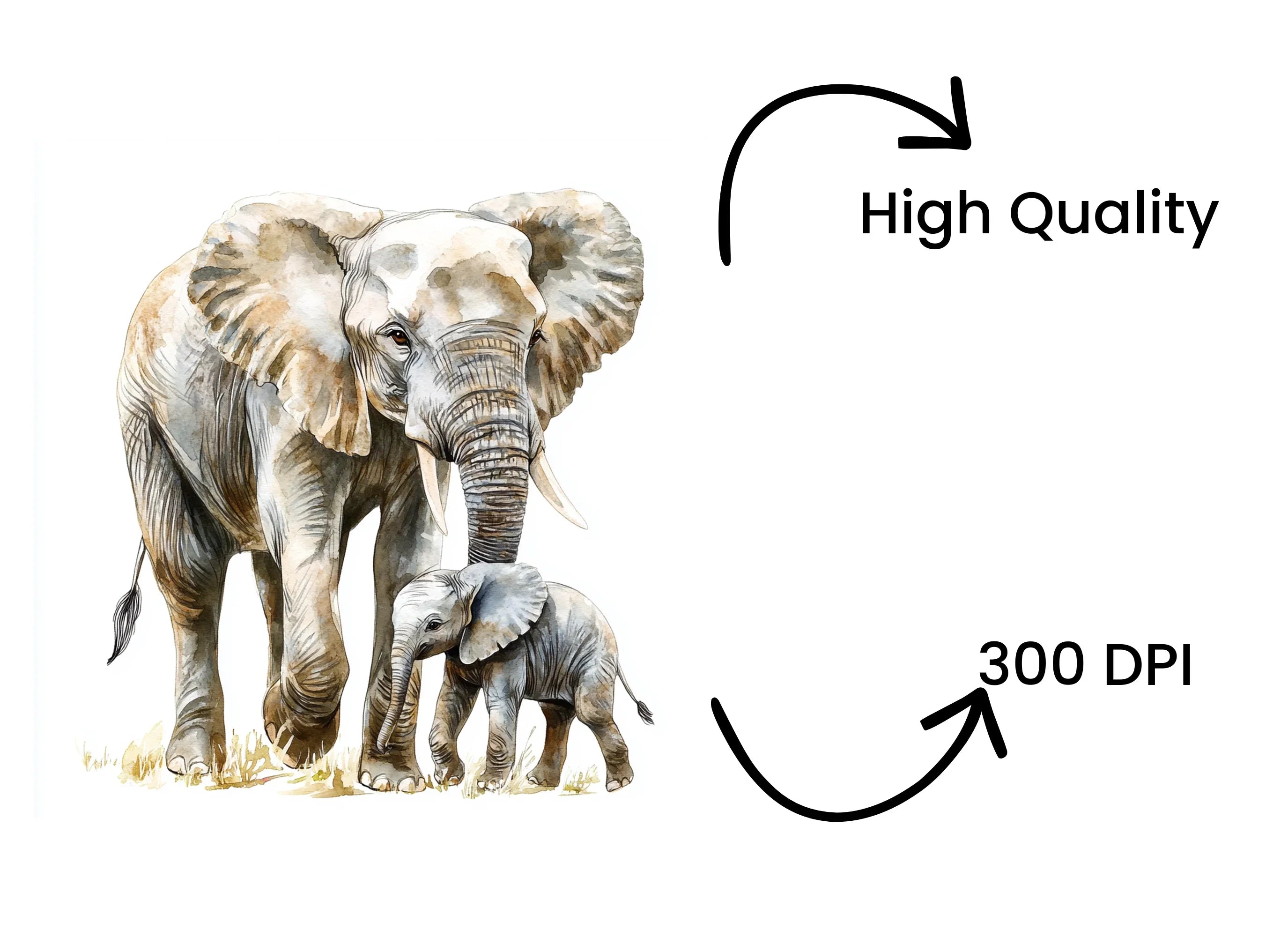 Cute Elephant Family Clipart Bundle
