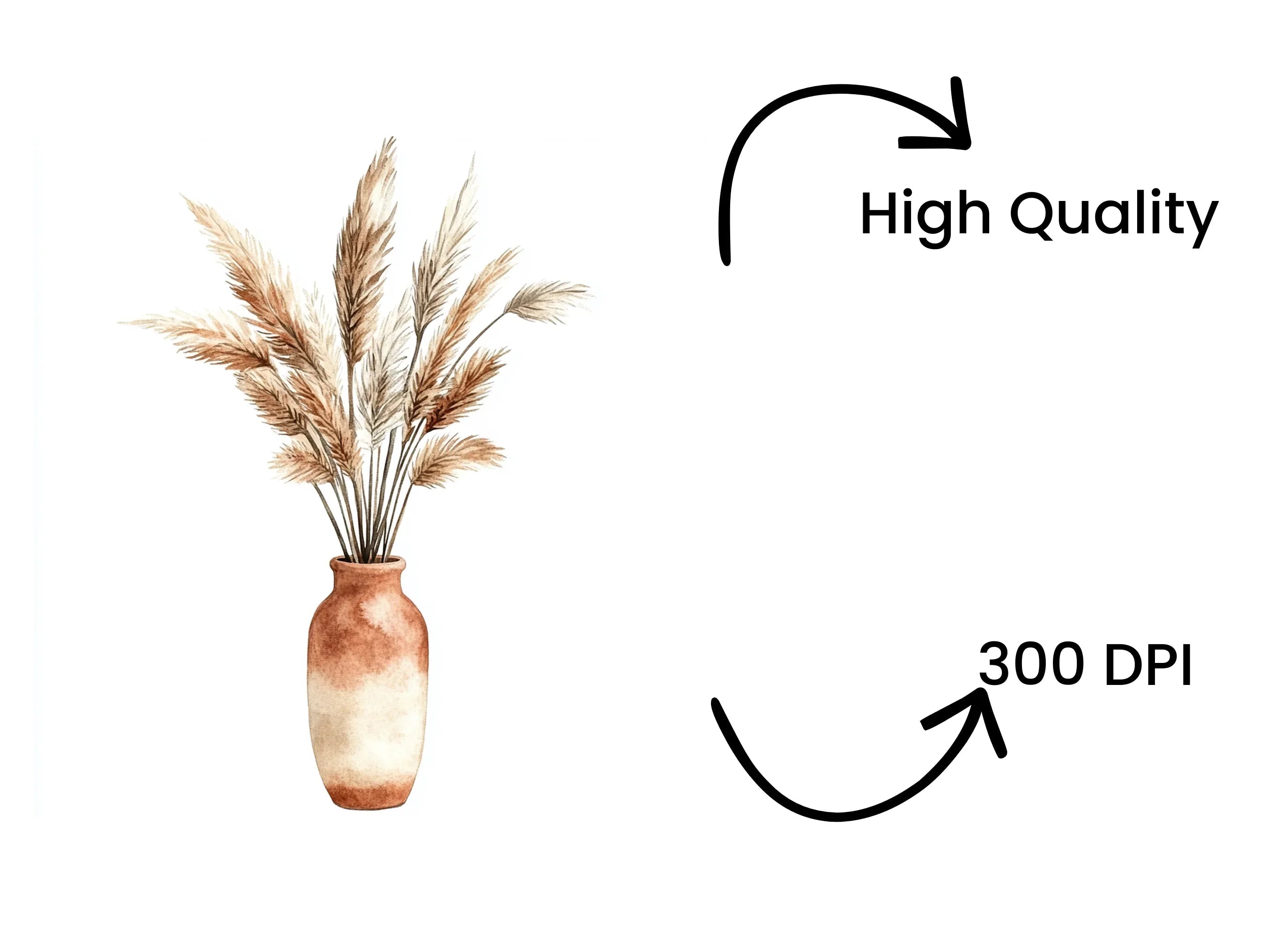 Pampas Grass in Terracotta Vase Clipart Bundle