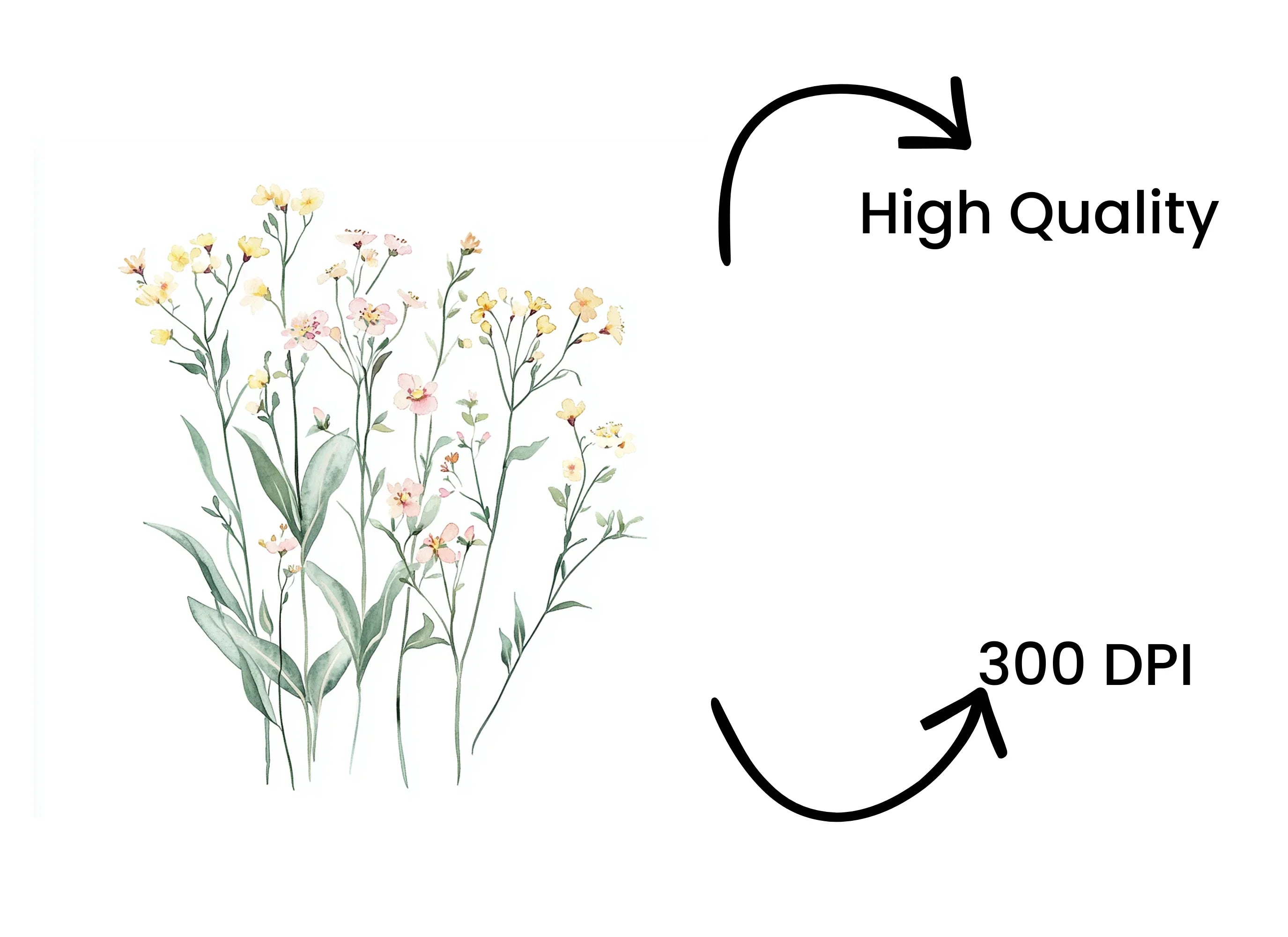 Wildflower Clipart Bundle