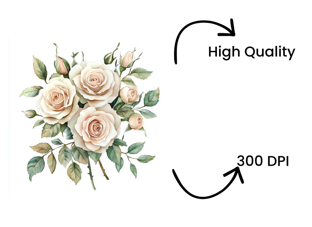 Blush Pink Rose Clipart Bundle