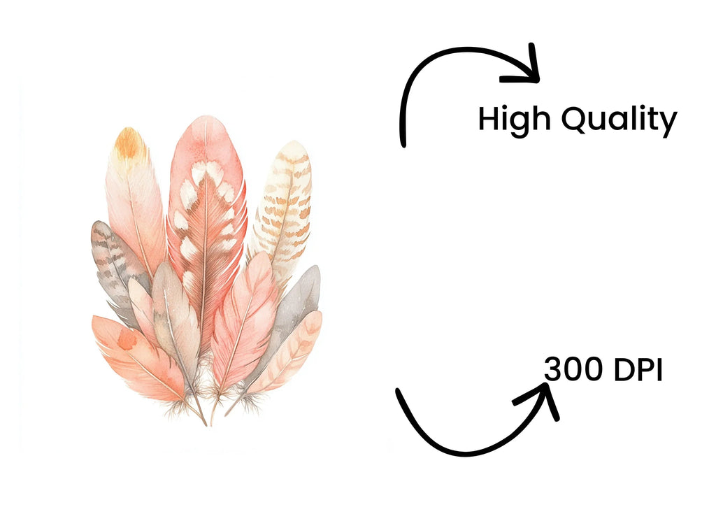 Boho Chic Feather Clipart Bundle