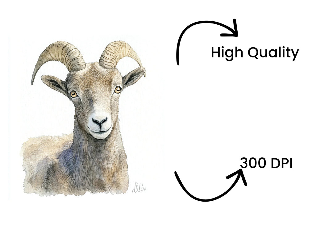 Bighorn Sheep Portrait Clipart Bundle