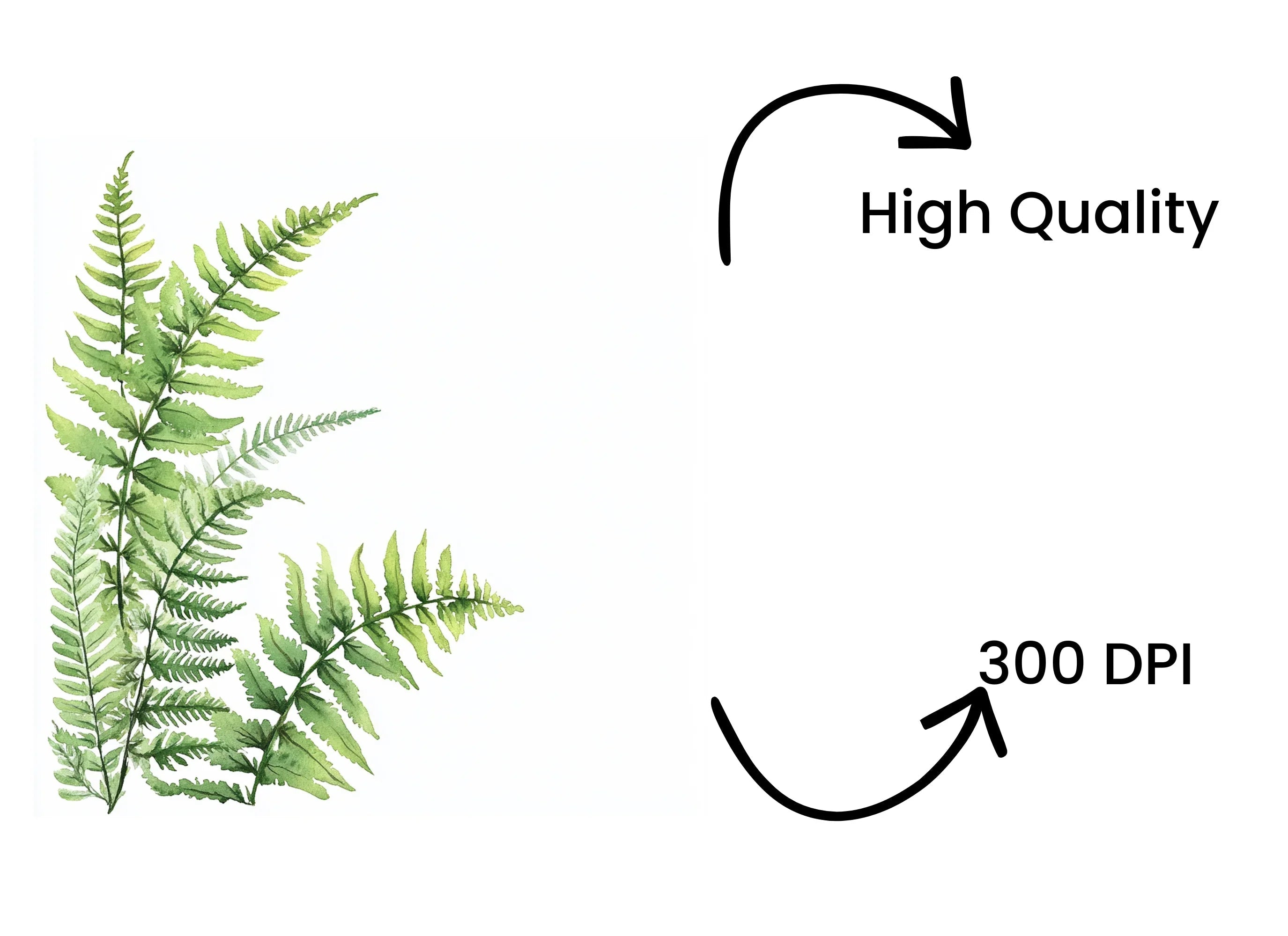Green Fern Border Elements Clipart Bundle