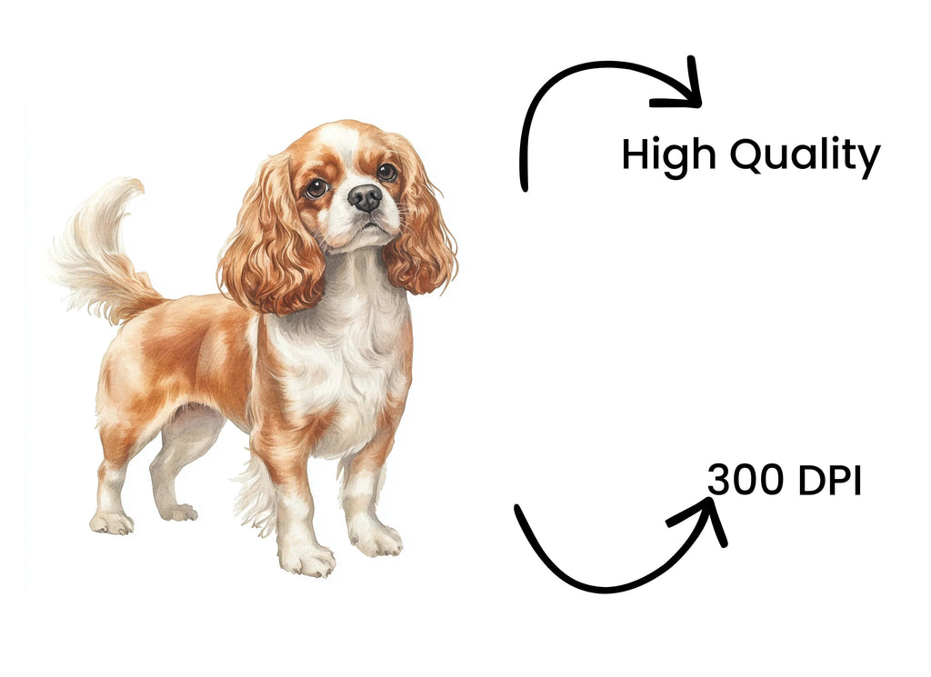 Cavalier King Charles Spaniel Clipart Bundle
