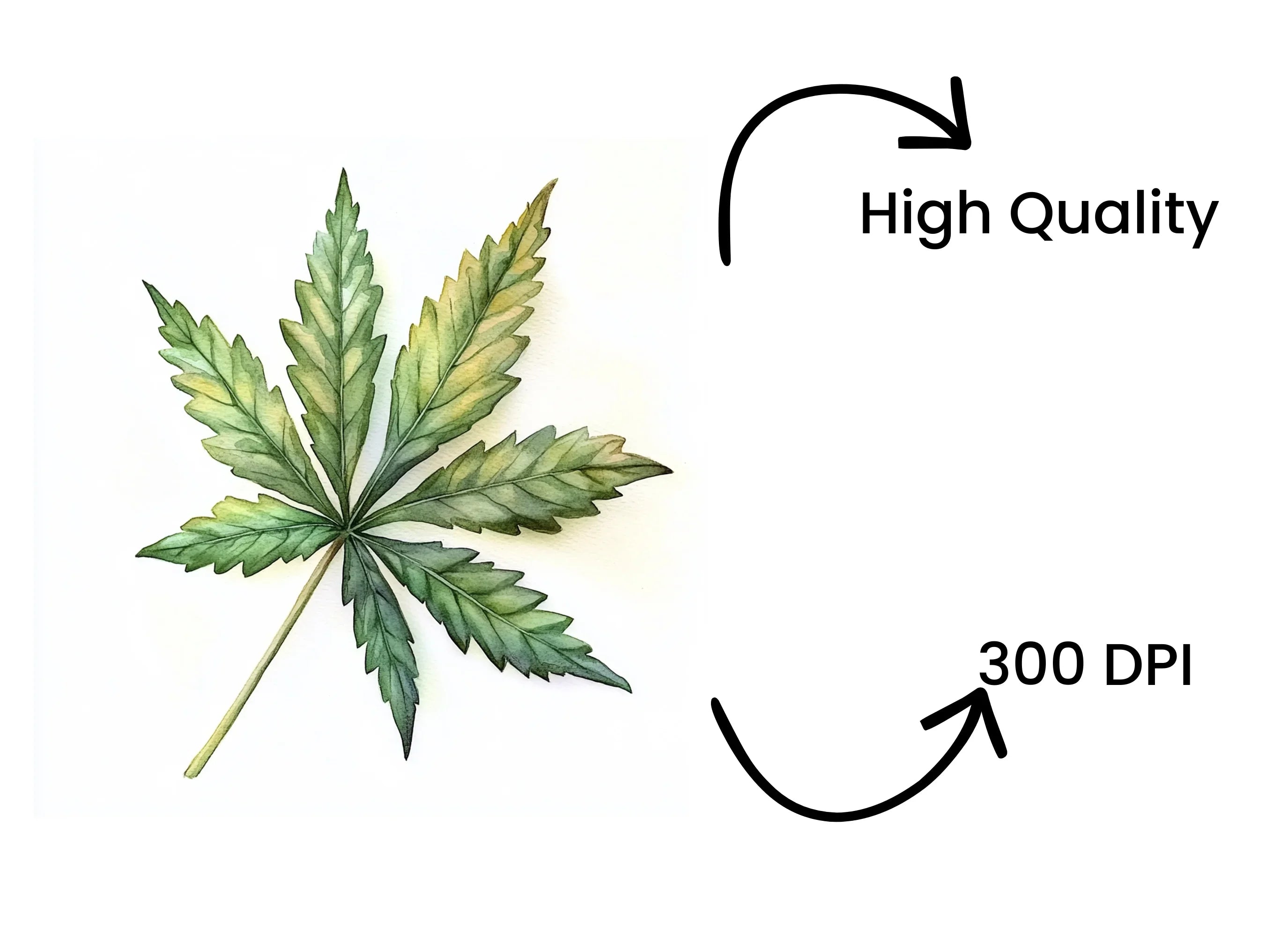 Cannabis Leaves Clipart Bundle