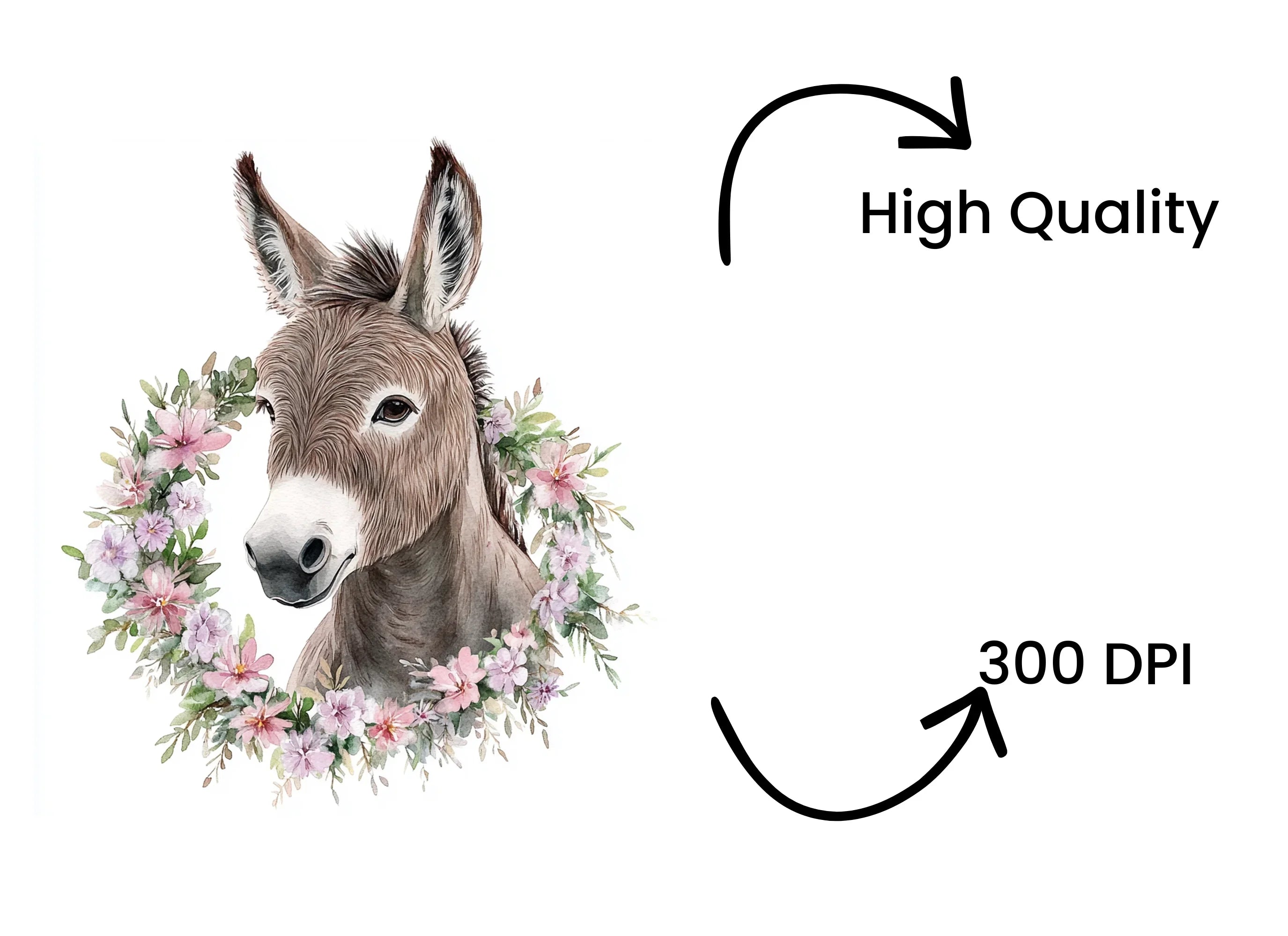 Cute Donkey Faces with Floral Wreaths Clipart Bundle