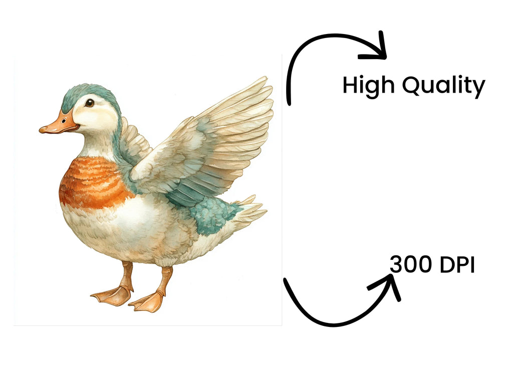 Cute Duck Clipart Bundle