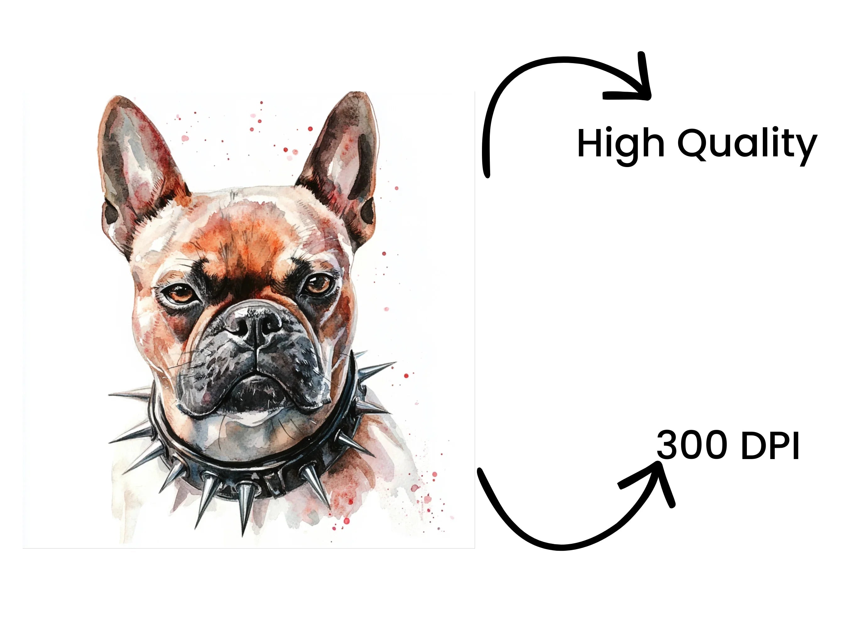 French Bulldog Clipart Bundle