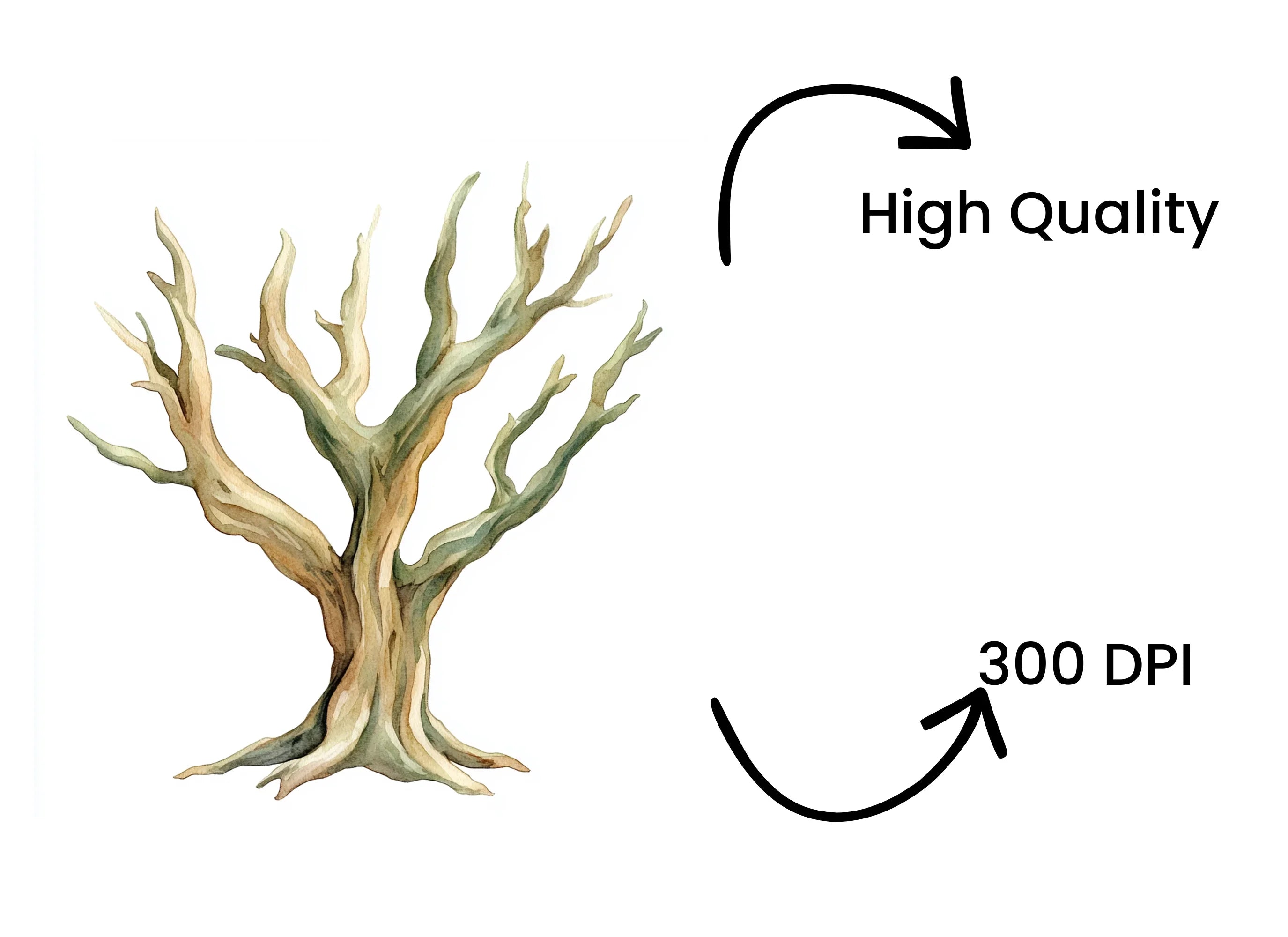 Bare Tree Clipart Bundle