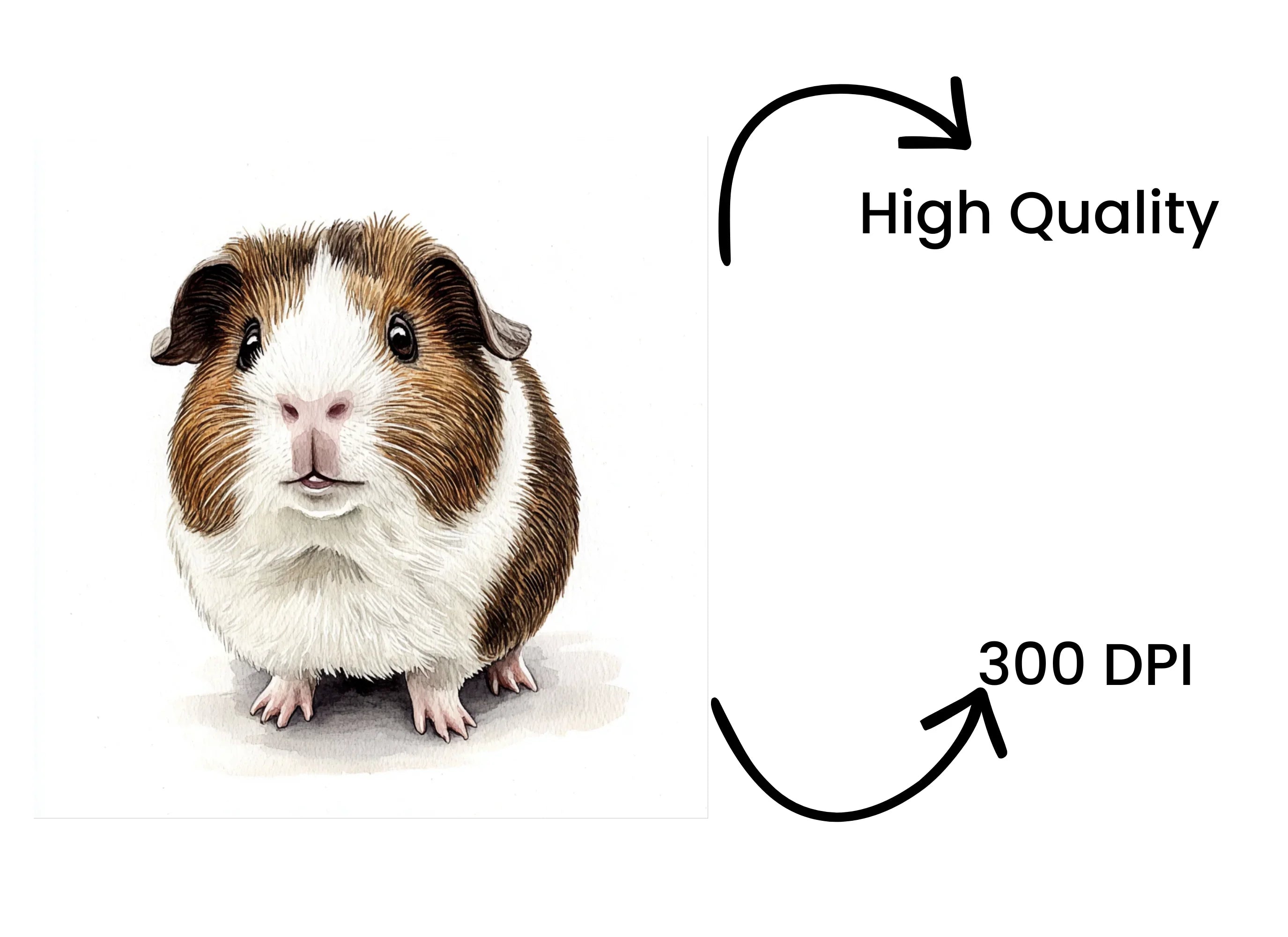 Brown and White Guinea Pig Clipart Bundle