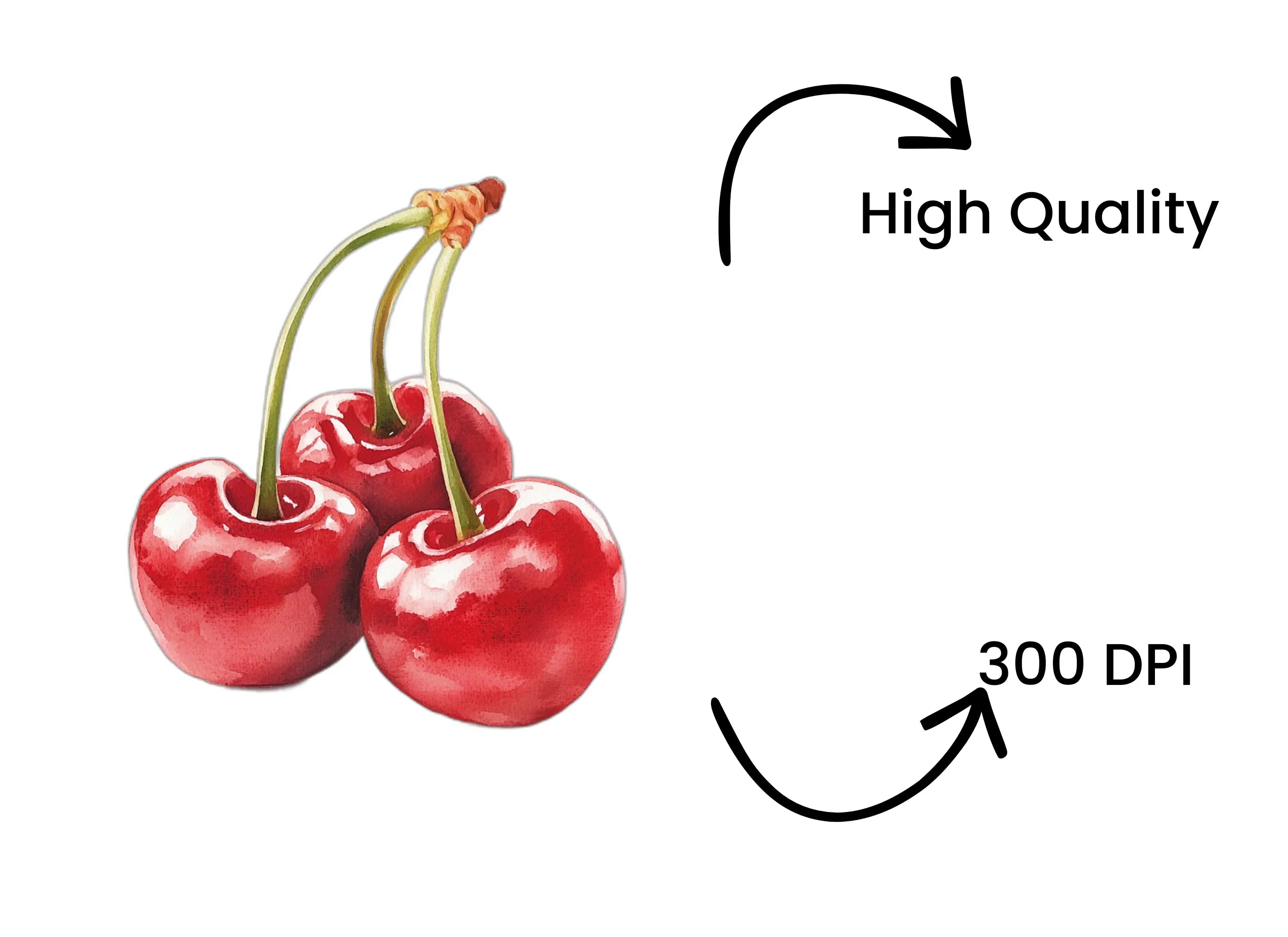 Cherry Clipart Bundle