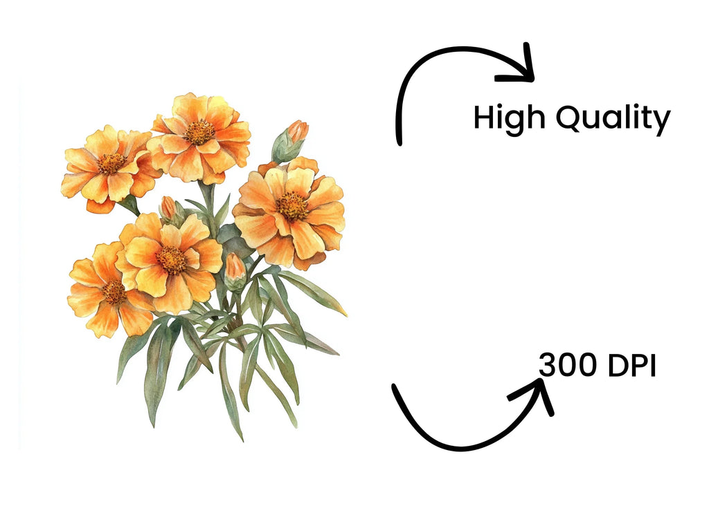 Vibrant Orange Marigold Flower Clipart Bundle