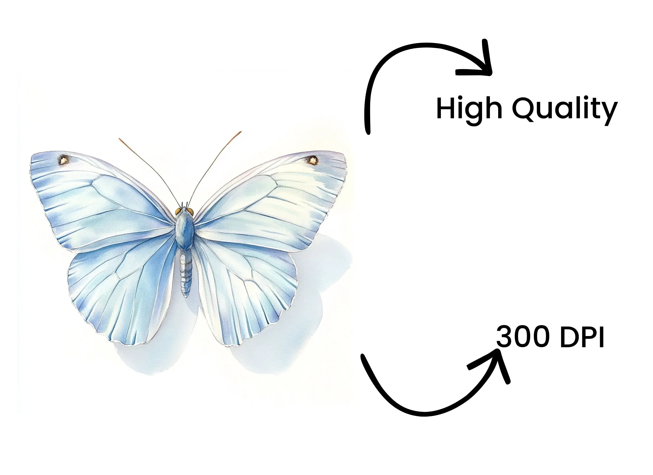 Beautiful Blue Butterfly Clipart Bundle