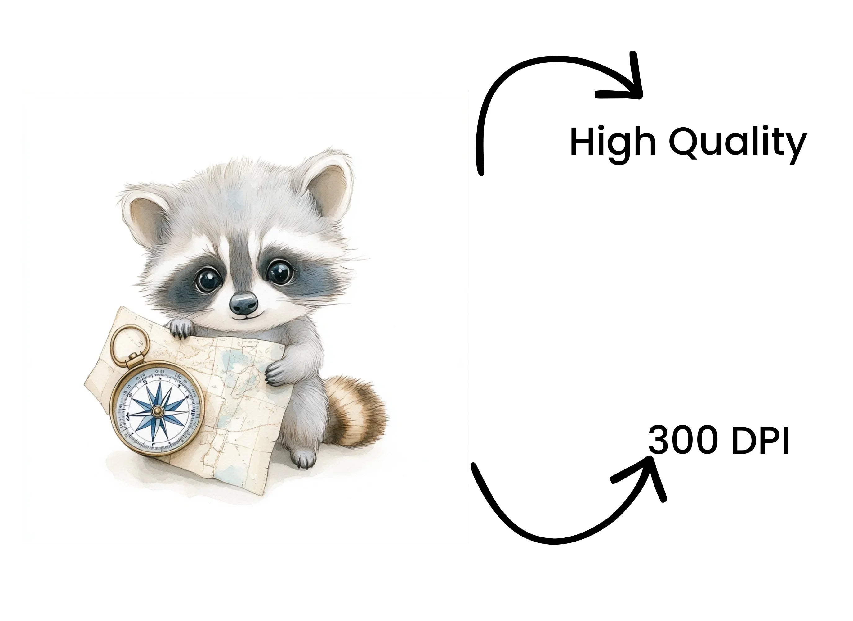 Cute Raccoon Explorer Clipart Bundle