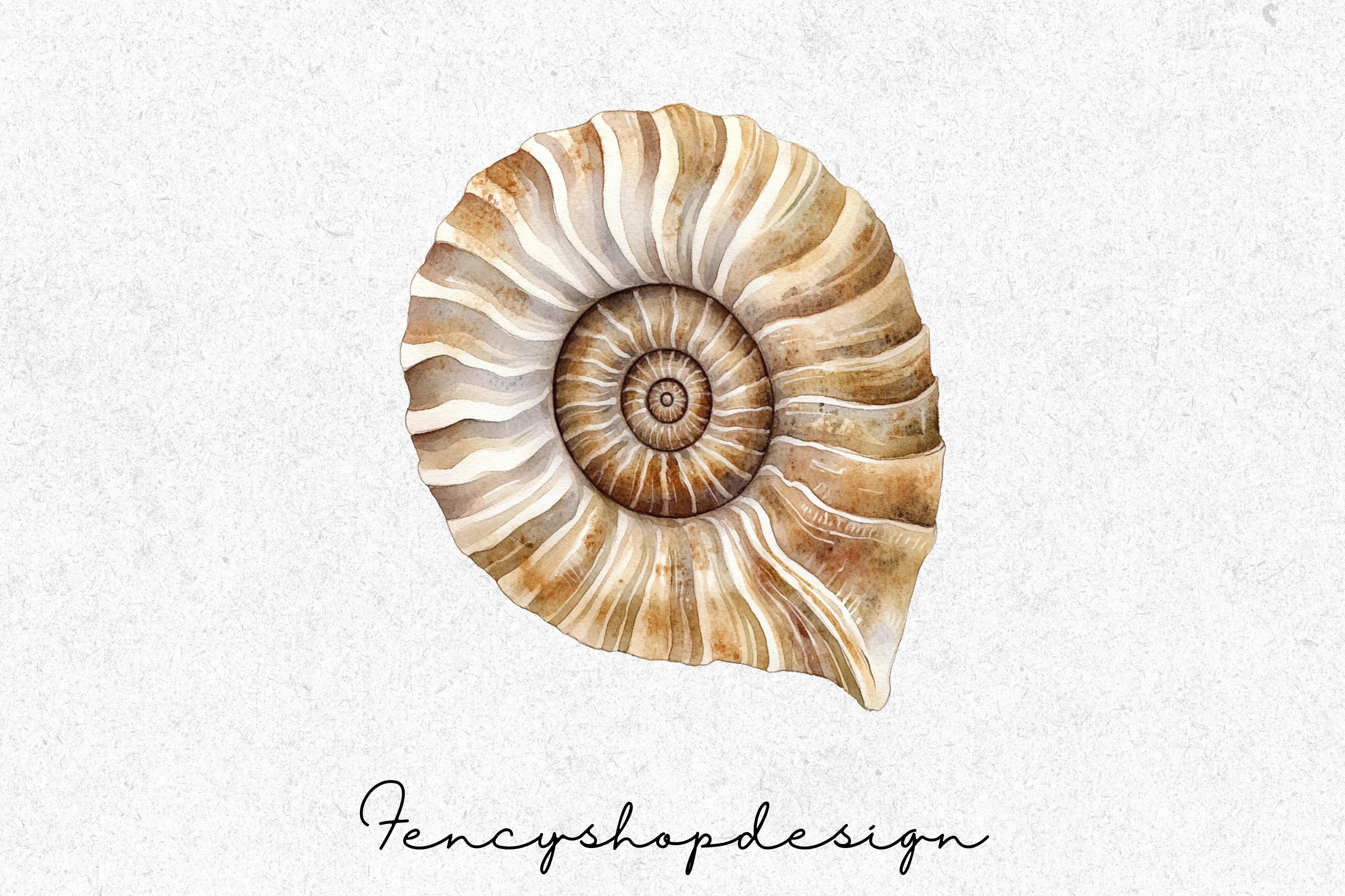 Seashell Ammonite Clipart Bundle