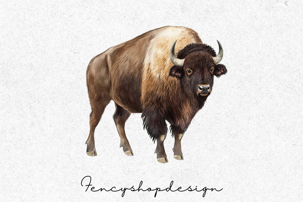Majestic American Bison Clipart Bundle