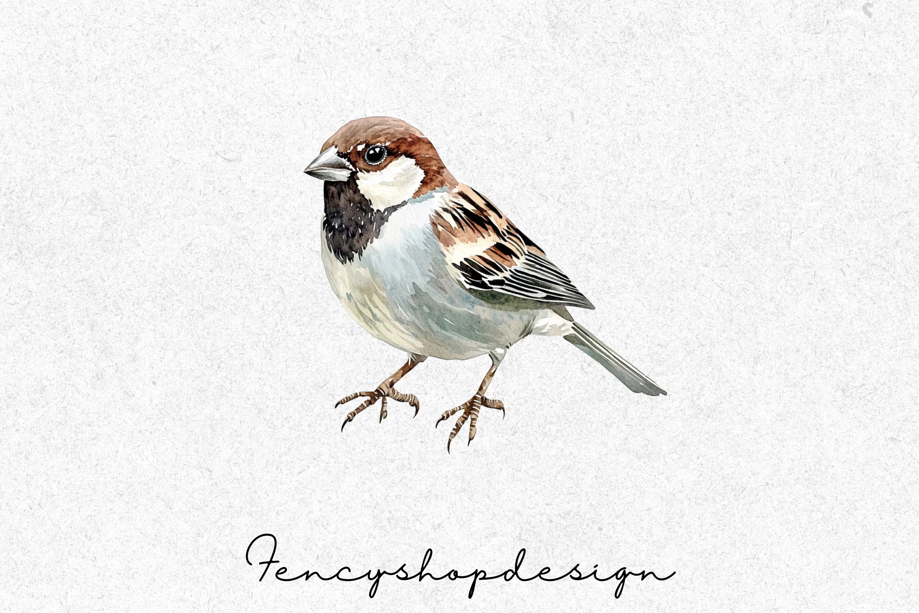 Charming Garden Sparrows Clipart Bundle