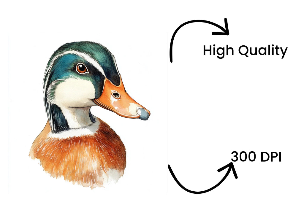 Wood Duck Heads Clipart Bundle