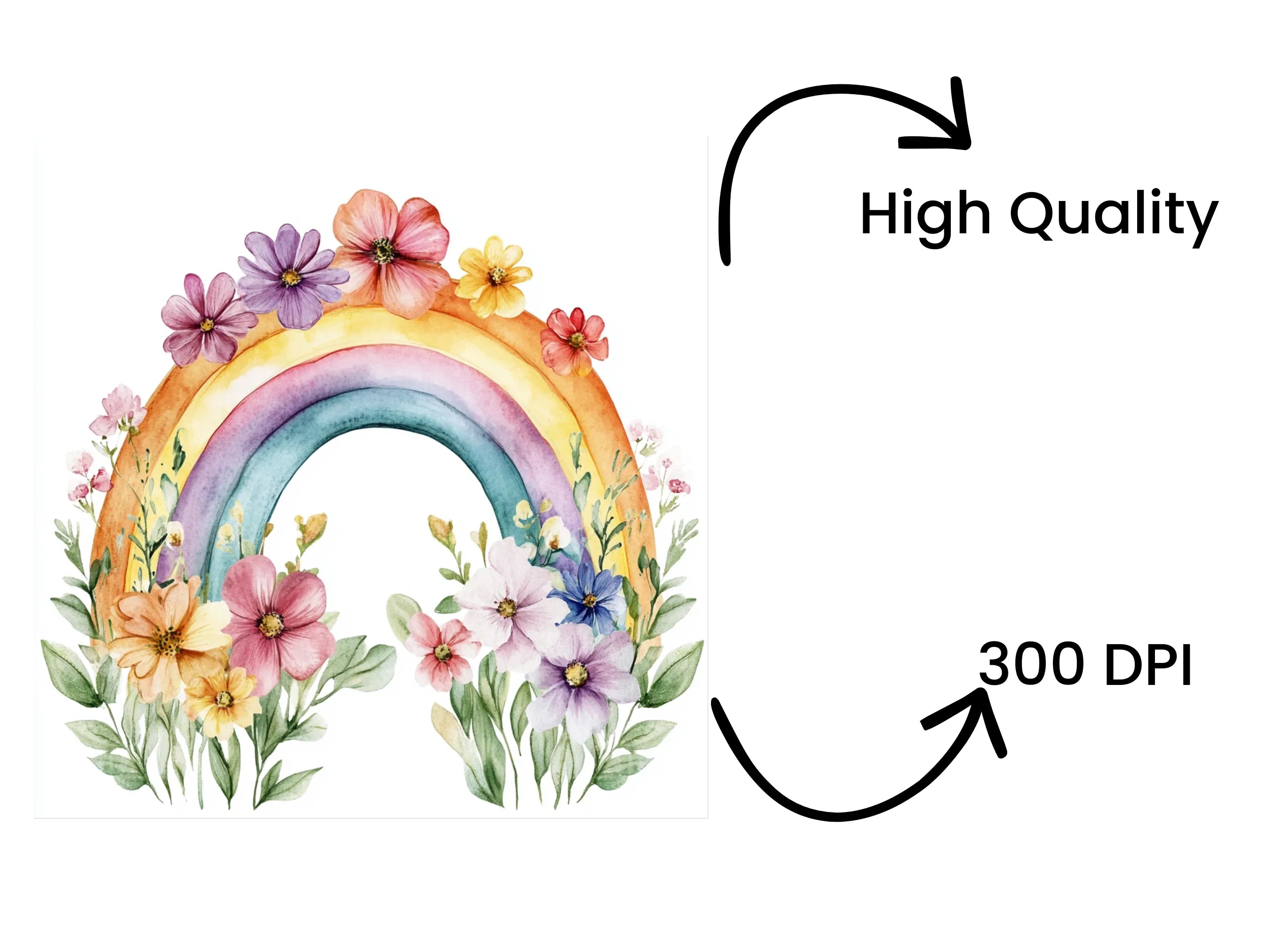 Rainbow and Floral Clipart Bundle