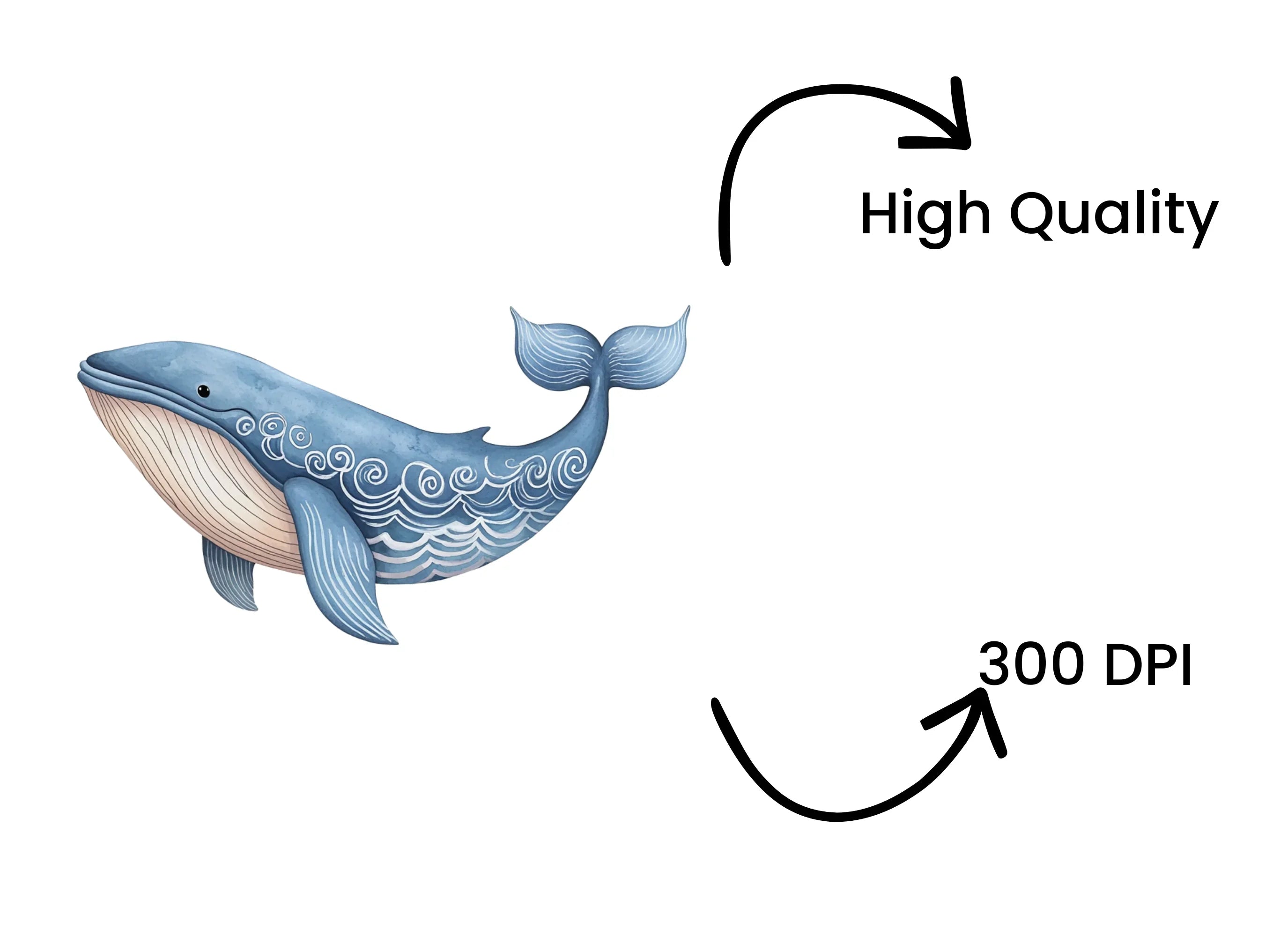 Decorative Blue Whale Clipart Bundle