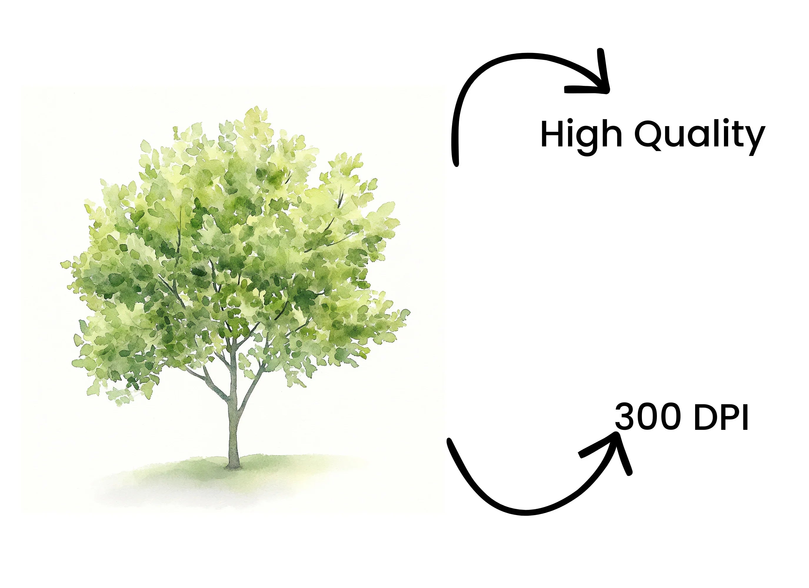 Lush Green Tree Clipart Bundle